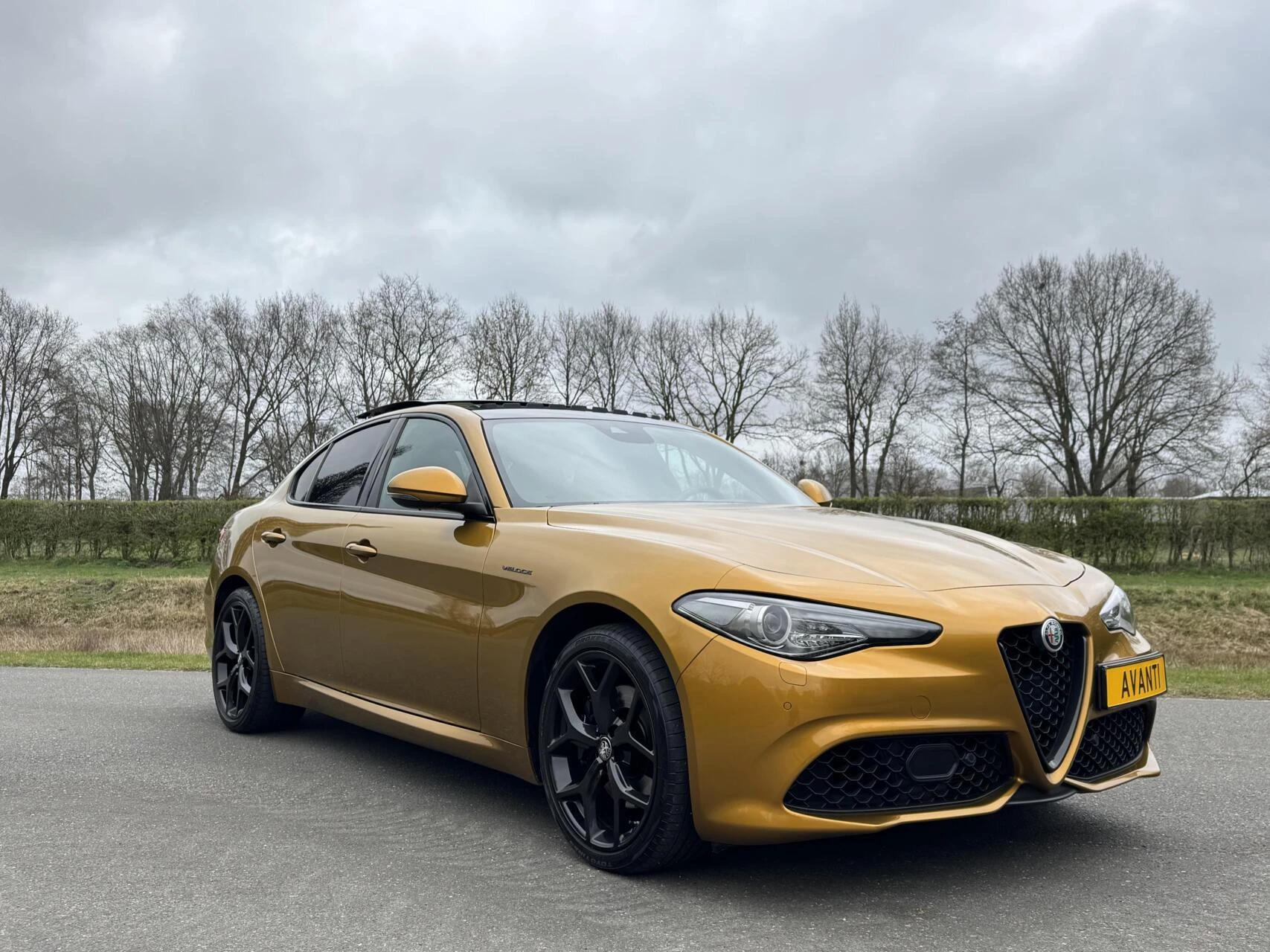 Hoofdafbeelding Alfa Romeo Giulia