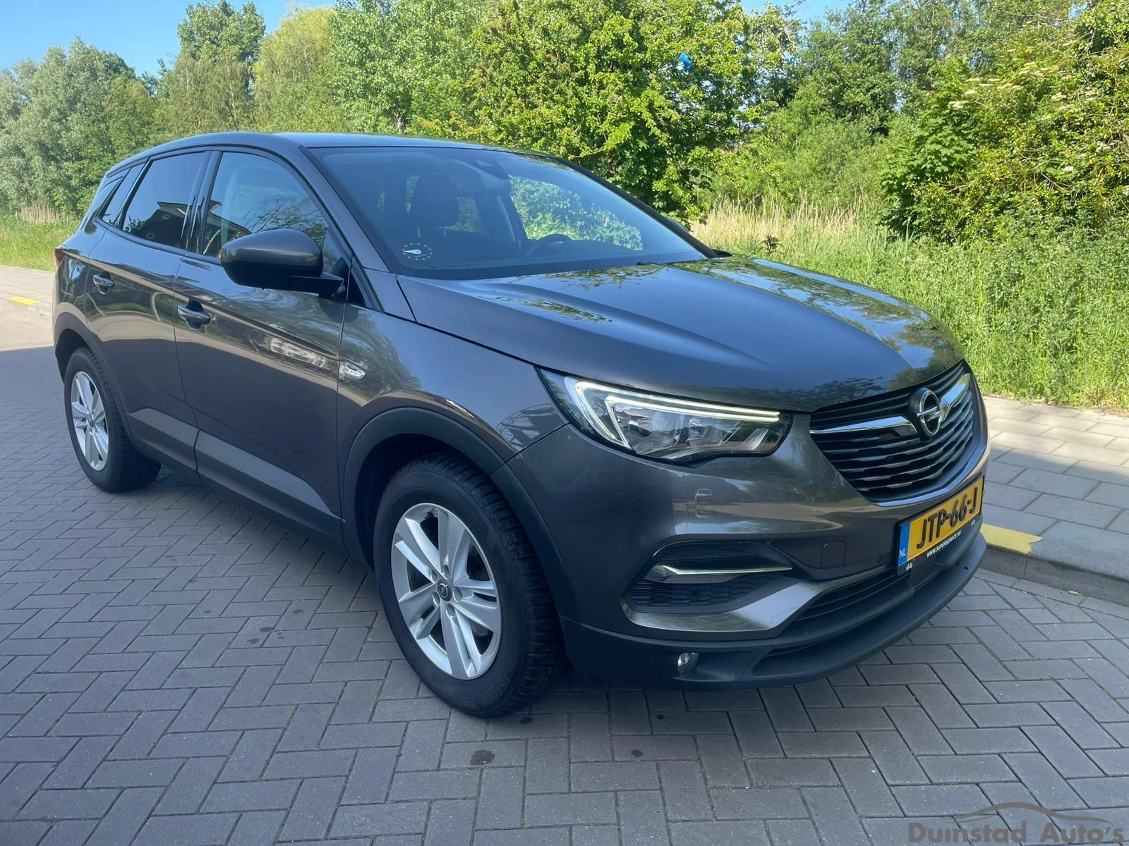 Hoofdafbeelding Opel Grandland X