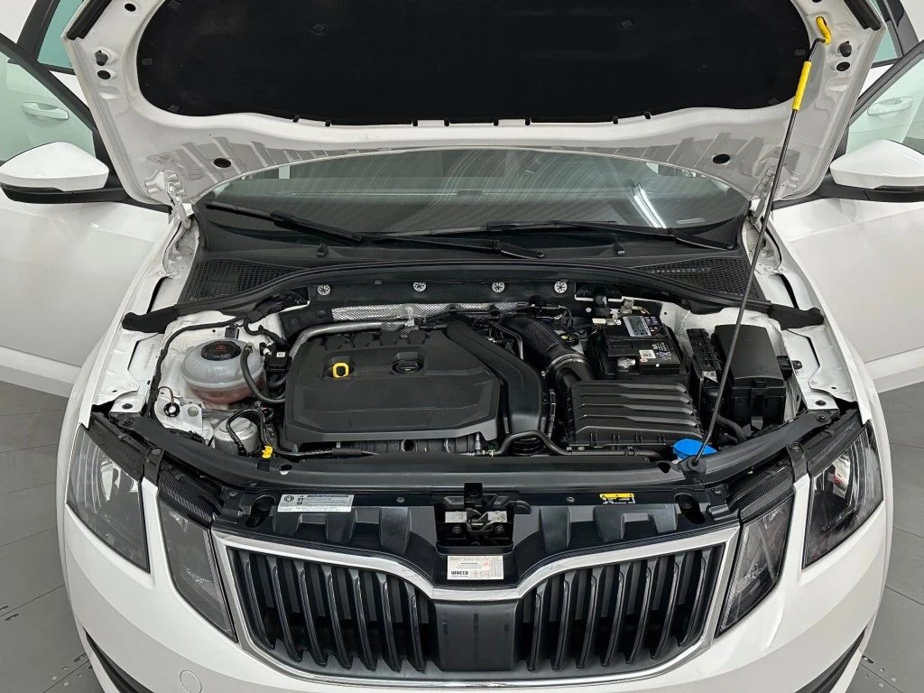 Hoofdafbeelding Škoda Octavia