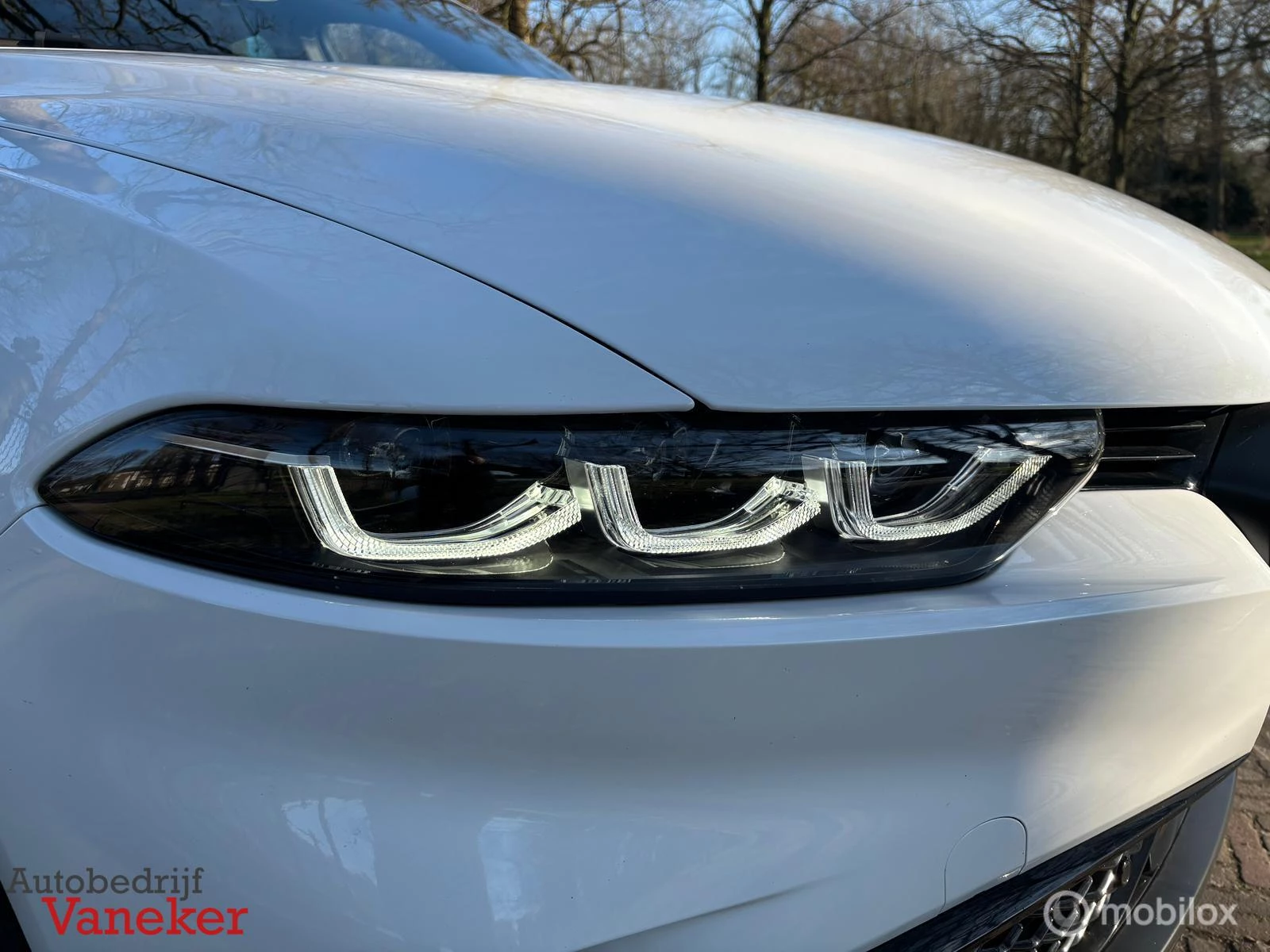 Hoofdafbeelding Alfa Romeo Tonale