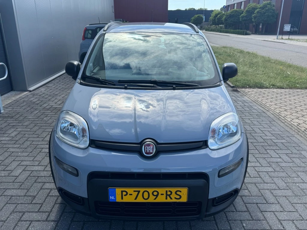 Hoofdafbeelding Fiat Panda