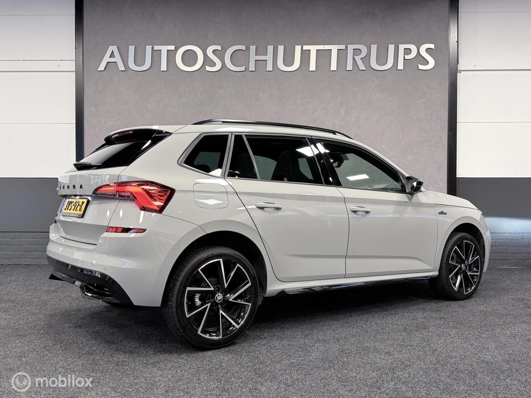 Hoofdafbeelding Škoda Kamiq