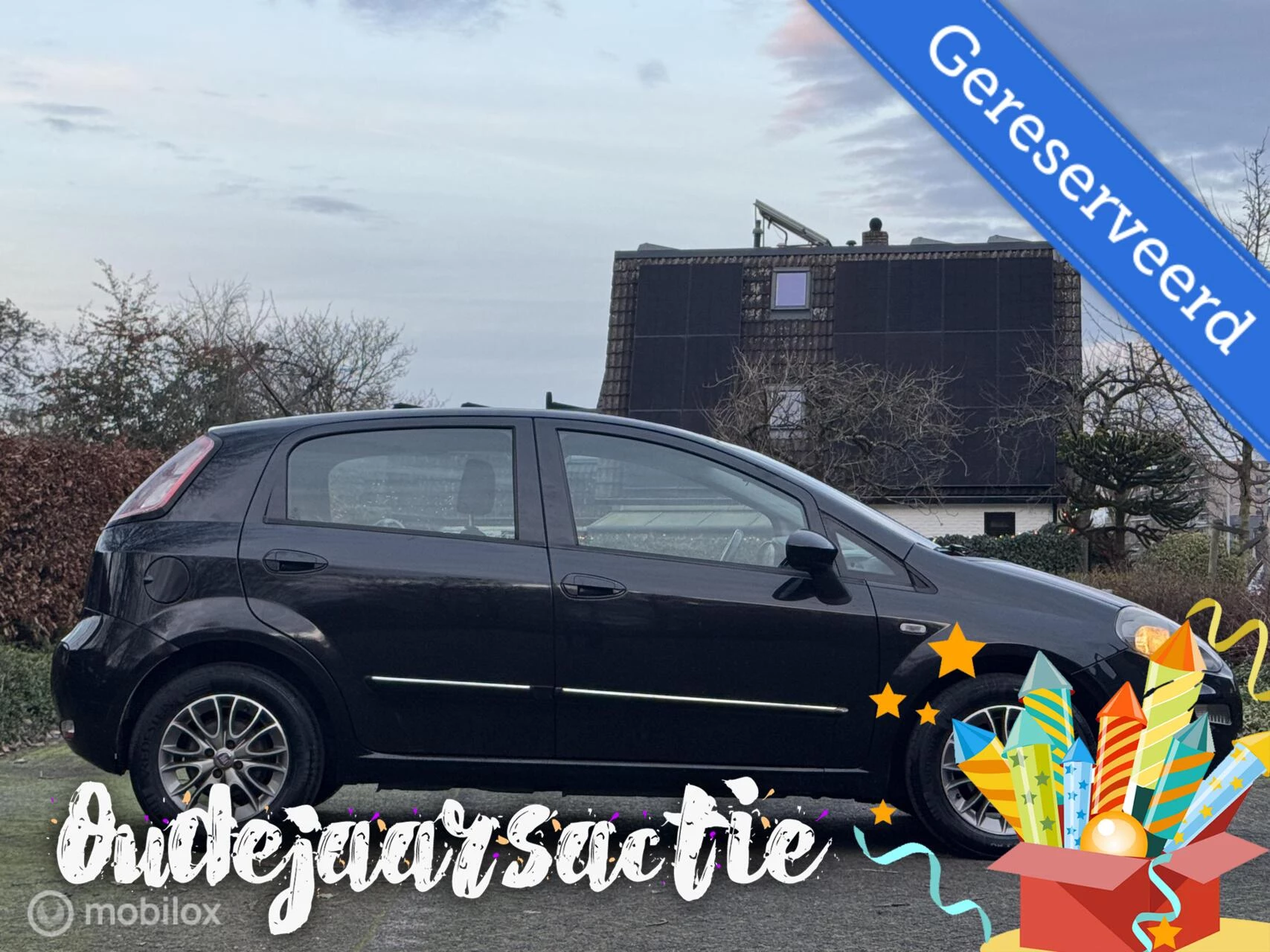 Hoofdafbeelding Fiat Punto