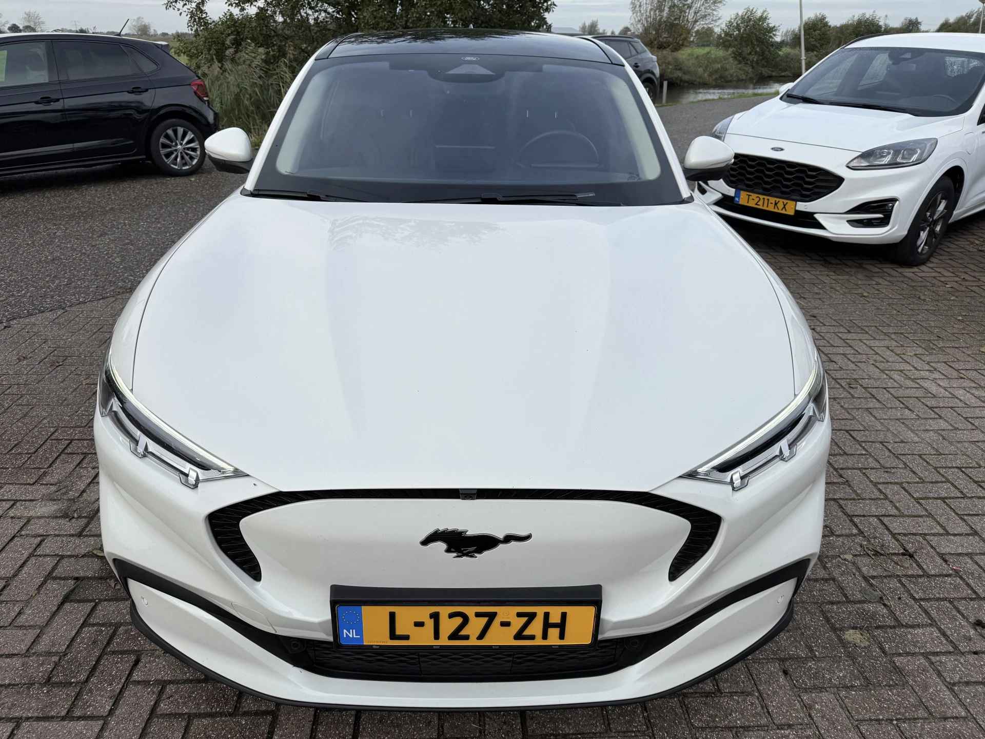 Hoofdafbeelding Ford Mustang Mach-E