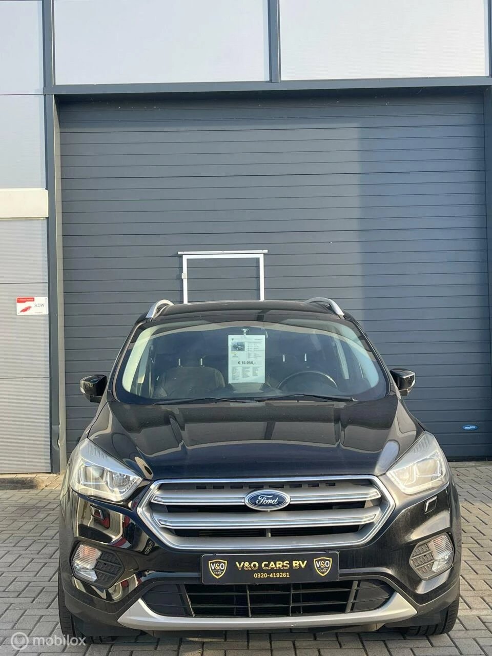 Hoofdafbeelding Ford Kuga