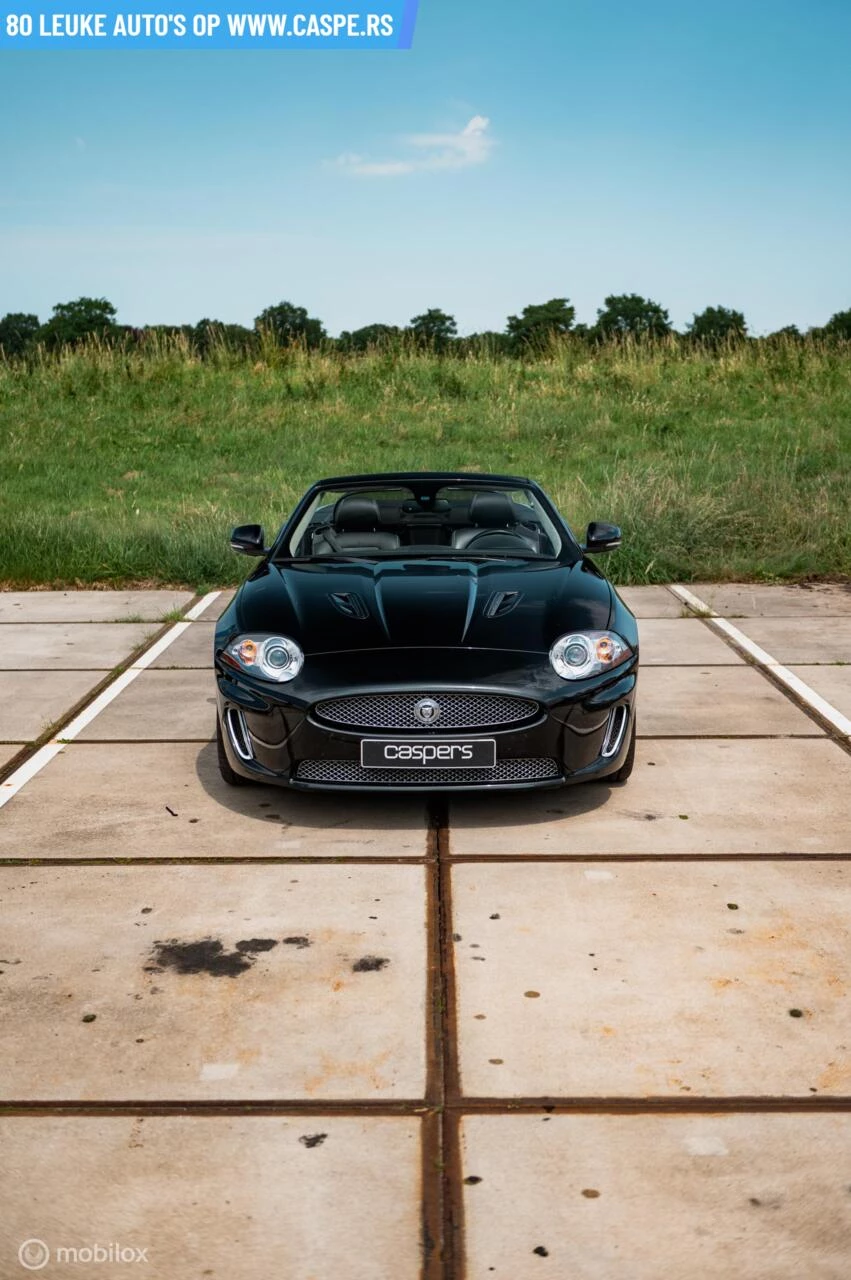 Hoofdafbeelding Jaguar XK