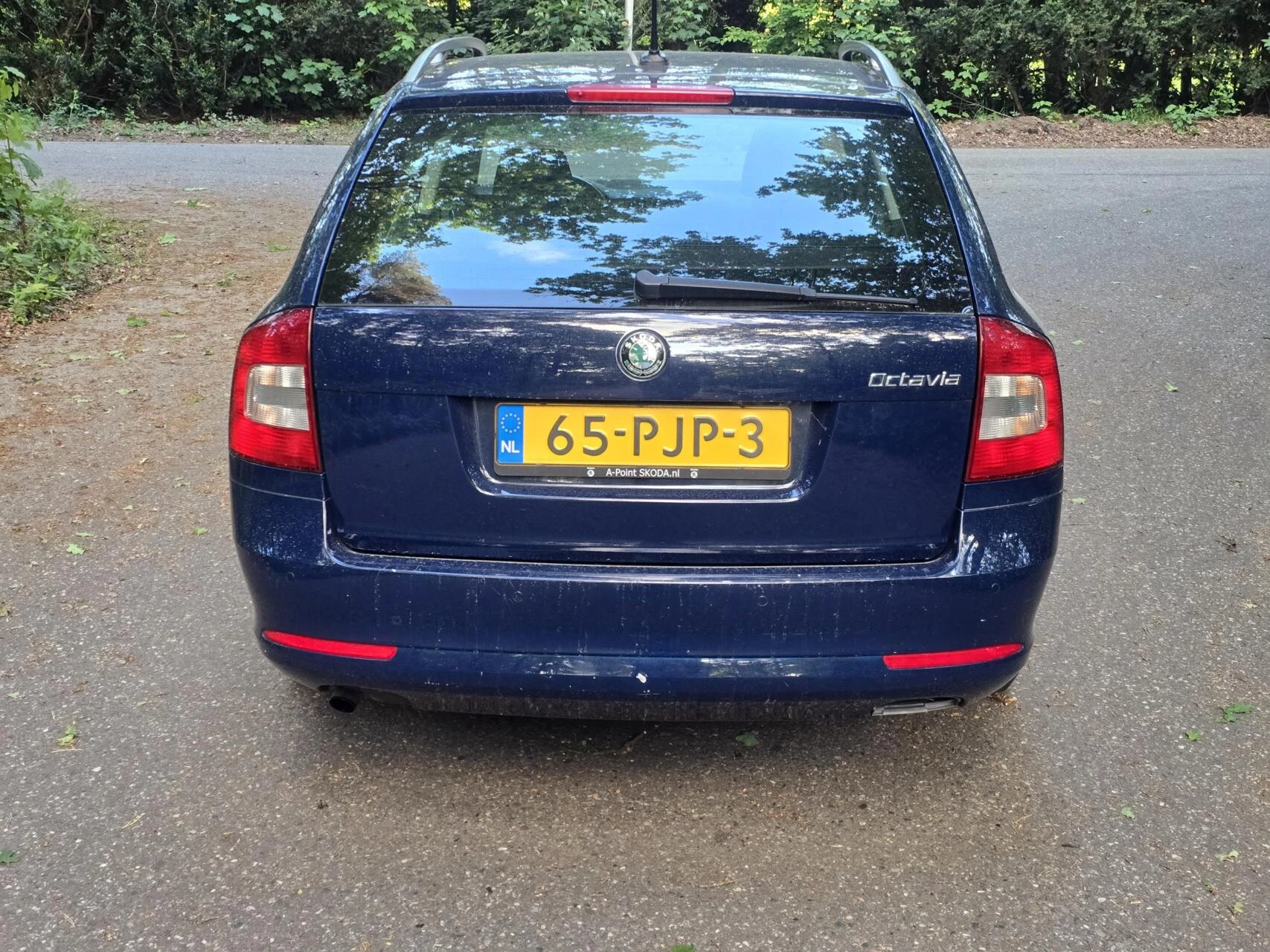 Hoofdafbeelding Škoda Octavia