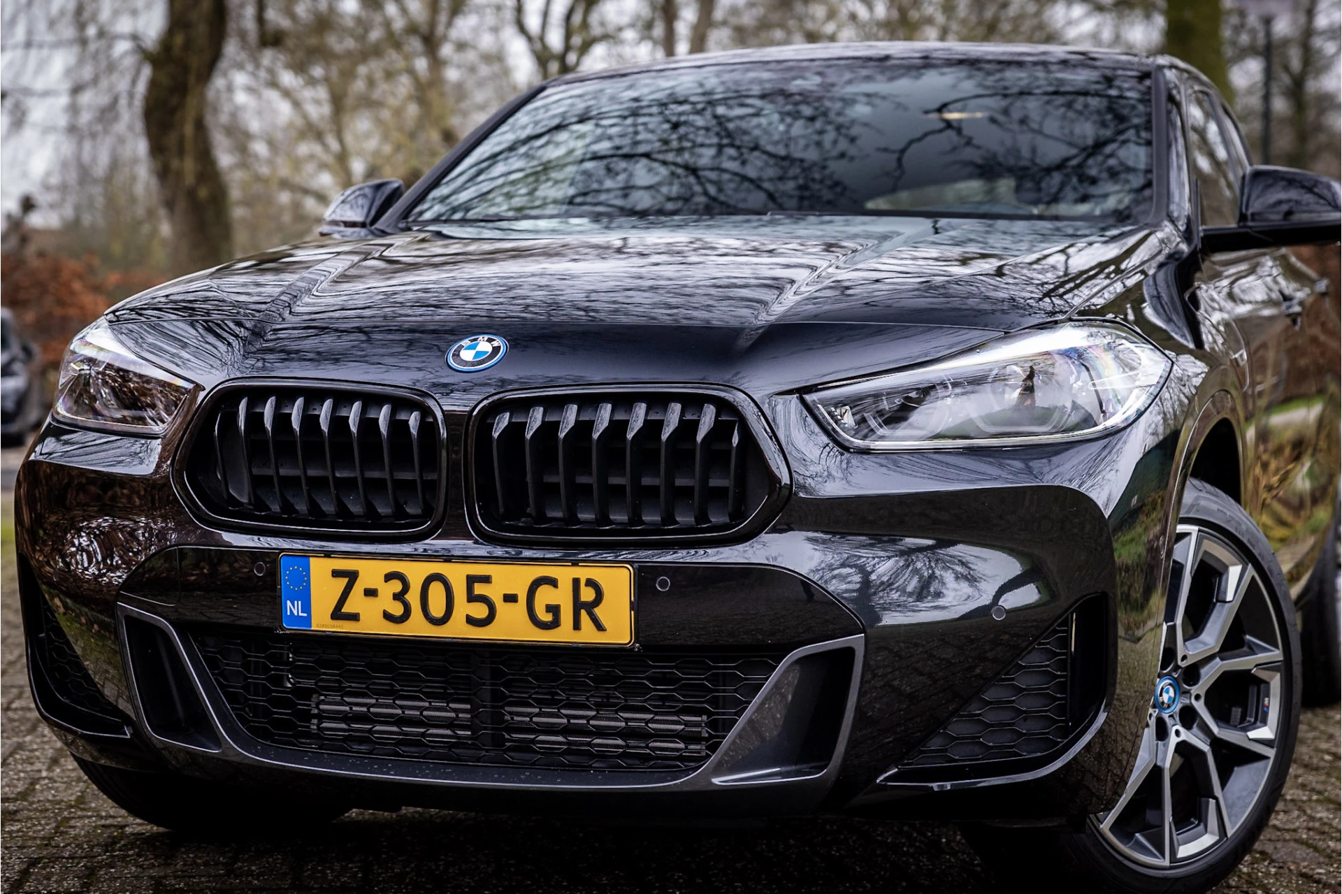 Hoofdafbeelding BMW X2