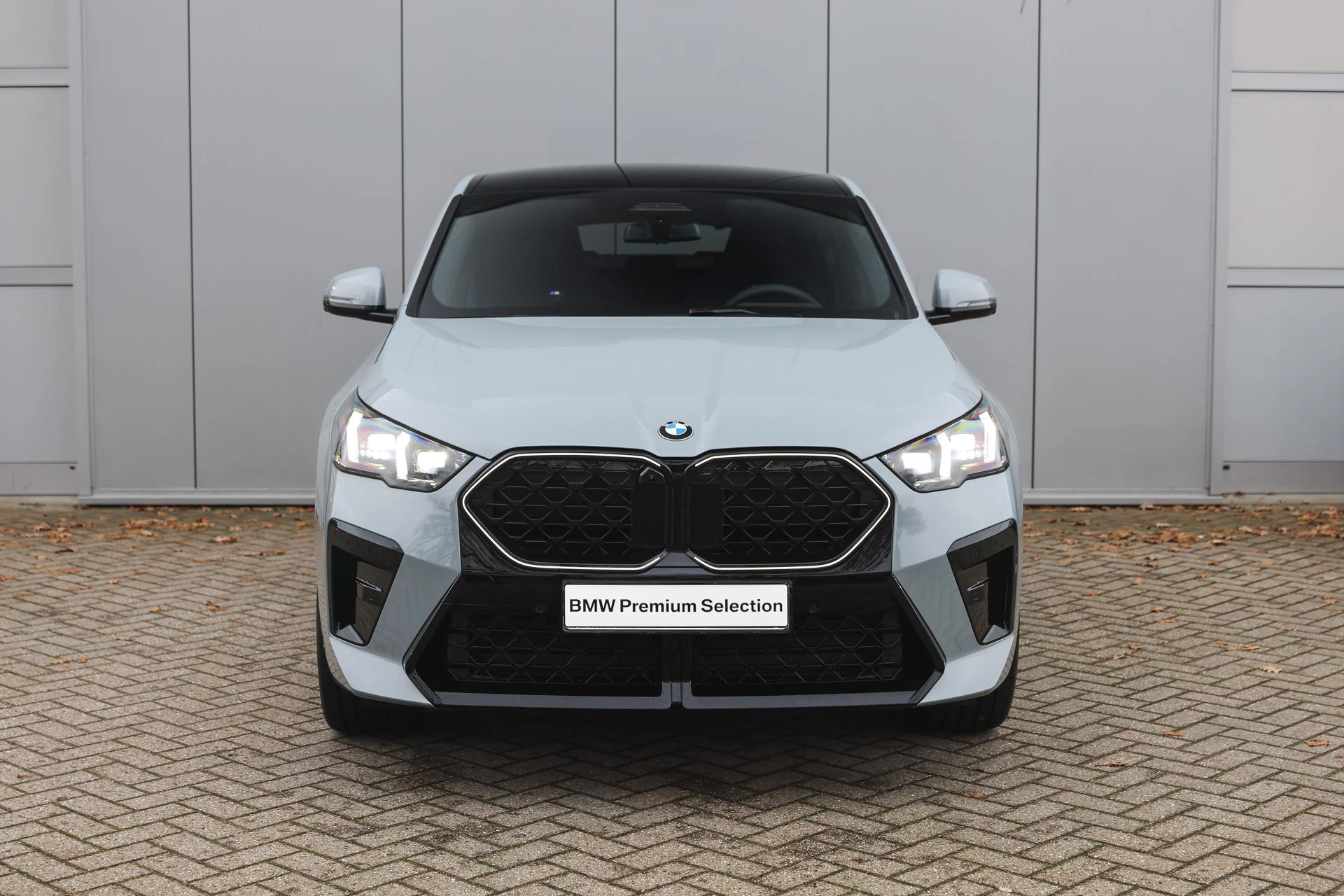 Hoofdafbeelding BMW X2