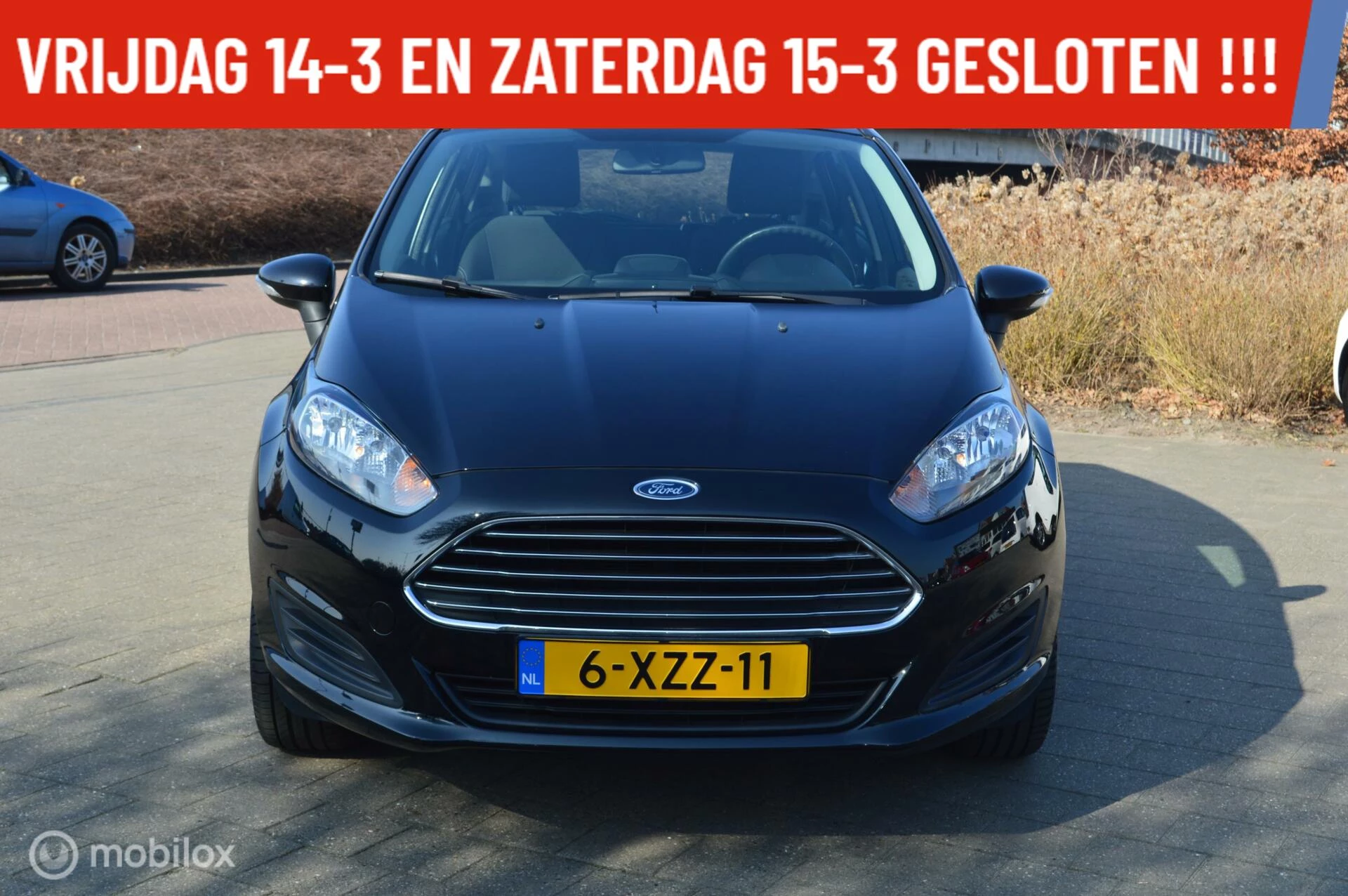 Hoofdafbeelding Ford Fiesta