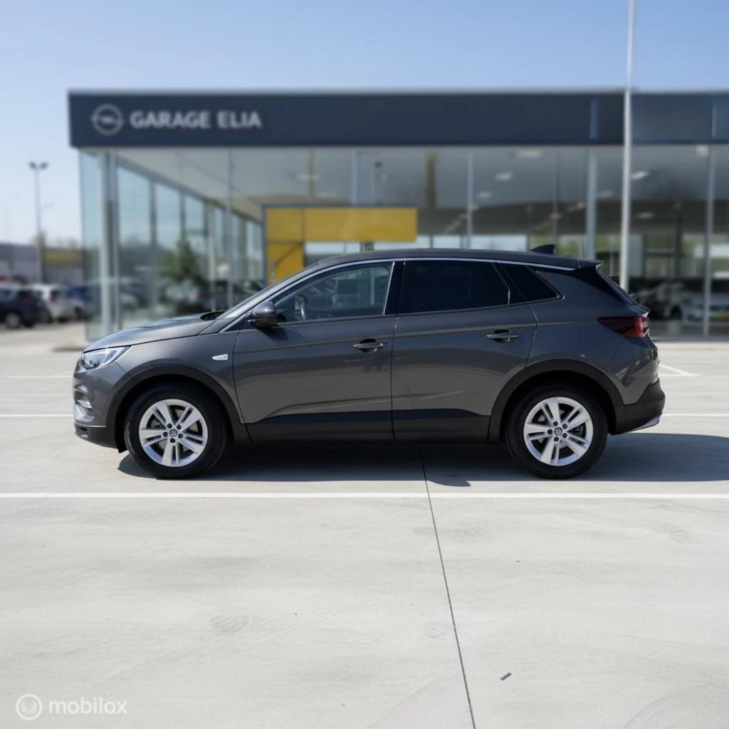 Hoofdafbeelding Opel Grandland X