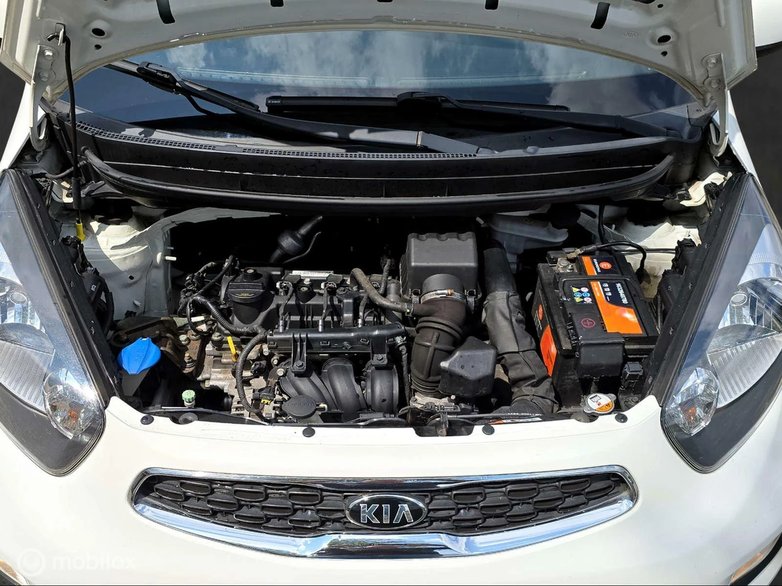 Hoofdafbeelding Kia Picanto