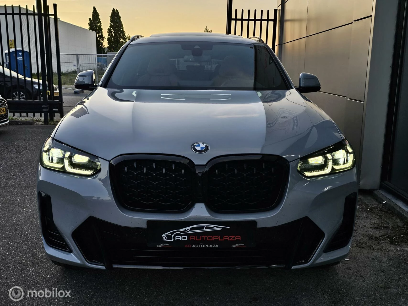 Hoofdafbeelding BMW X4