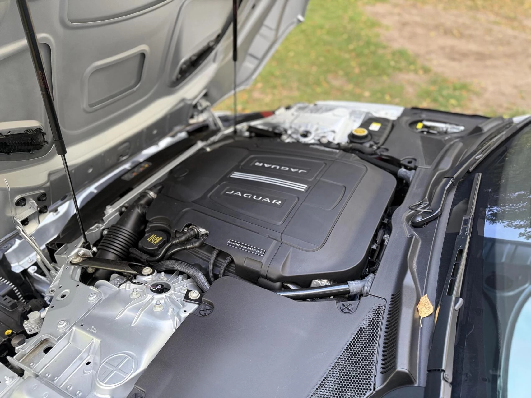 Hoofdafbeelding Jaguar F-Type