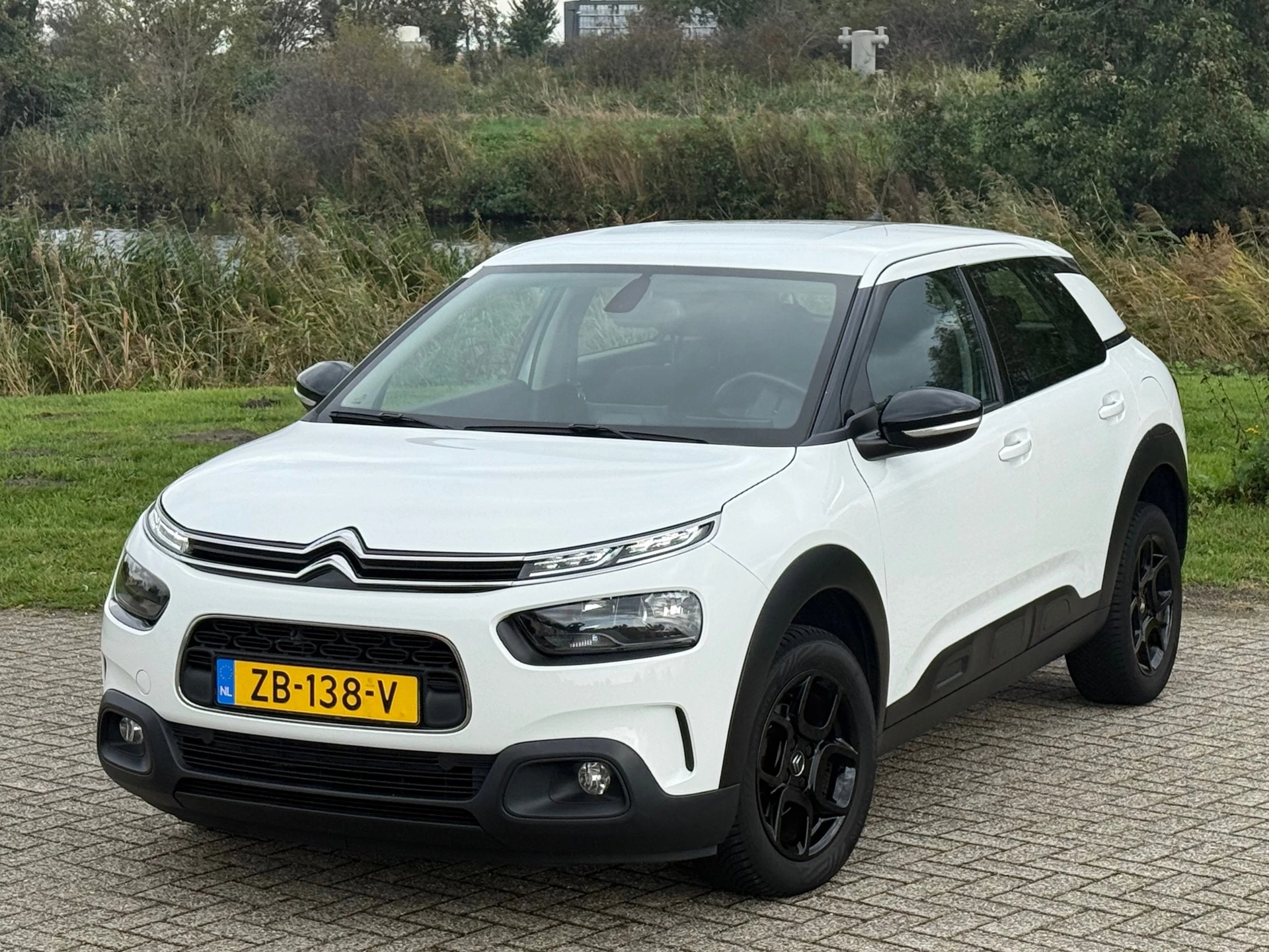 Hoofdafbeelding Citroën C4 Cactus