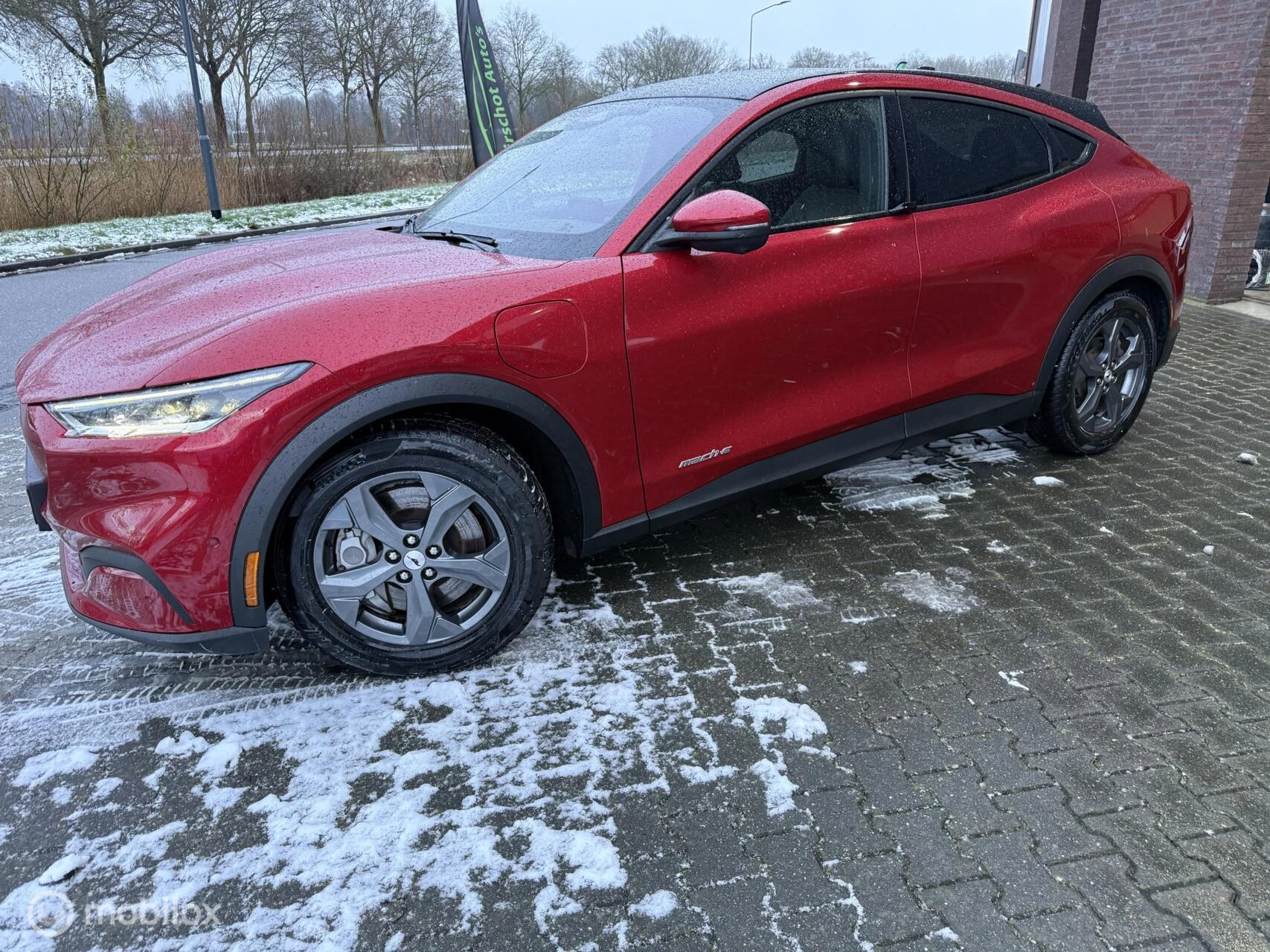 Hoofdafbeelding Ford Mustang Mach-E