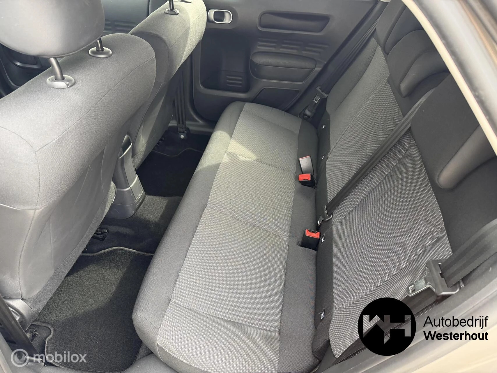 Hoofdafbeelding Citroën C4 Cactus