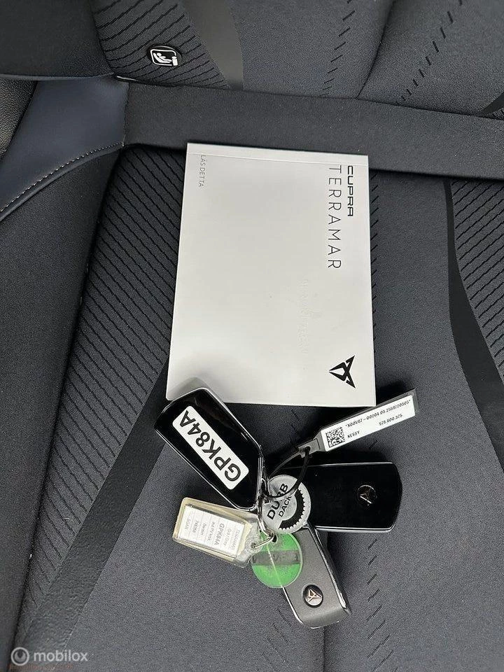 Hoofdafbeelding CUPRA Terramar