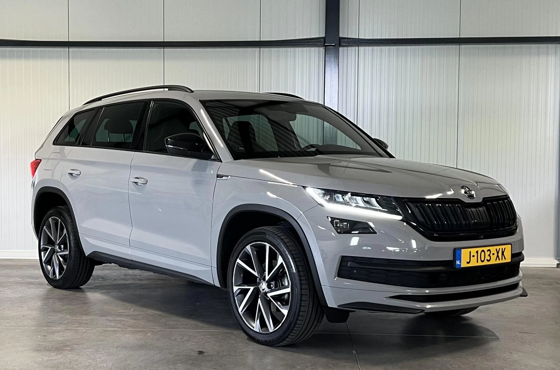Hoofdafbeelding Škoda Kodiaq
