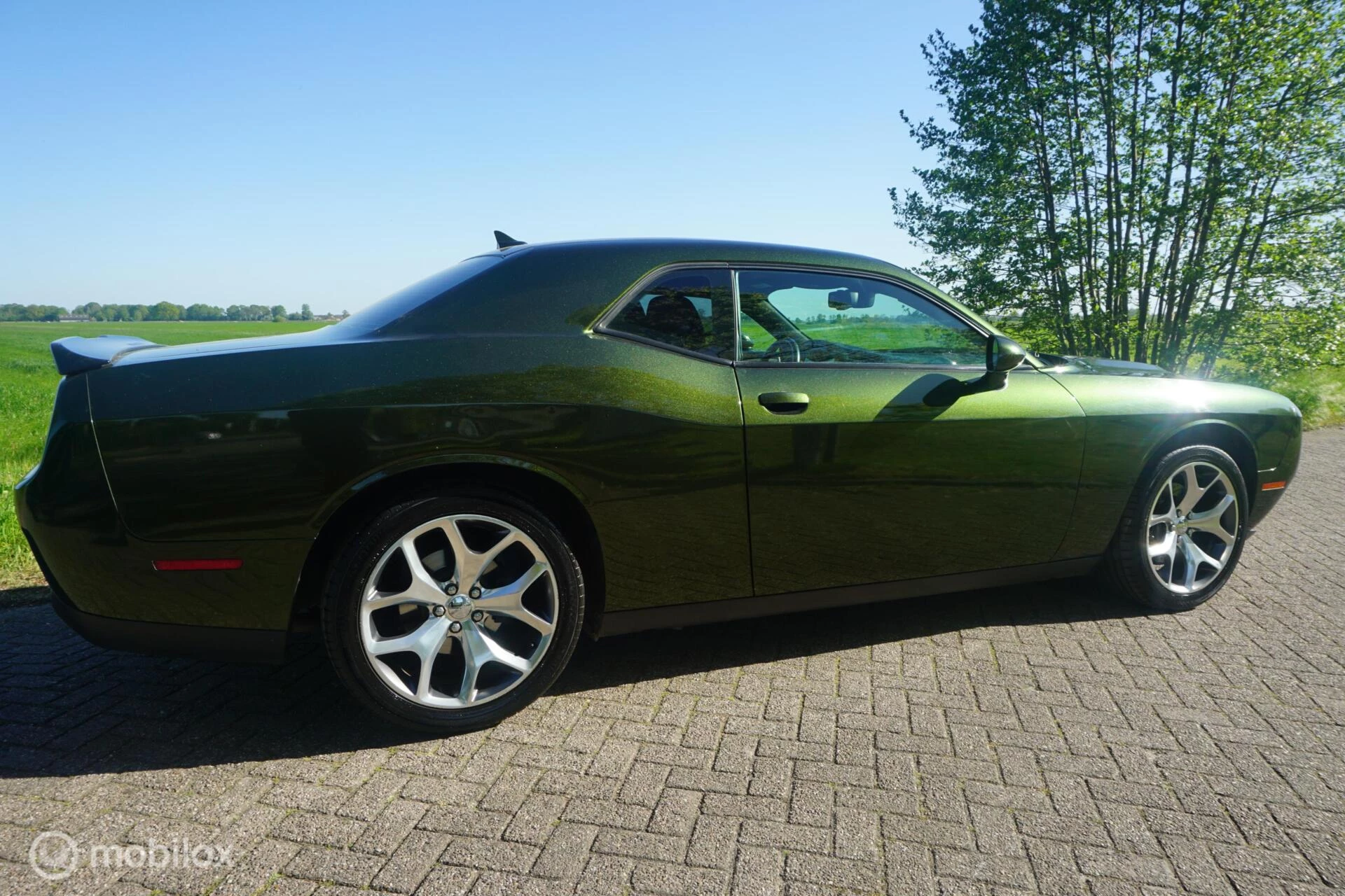 Hoofdafbeelding Dodge Challenger