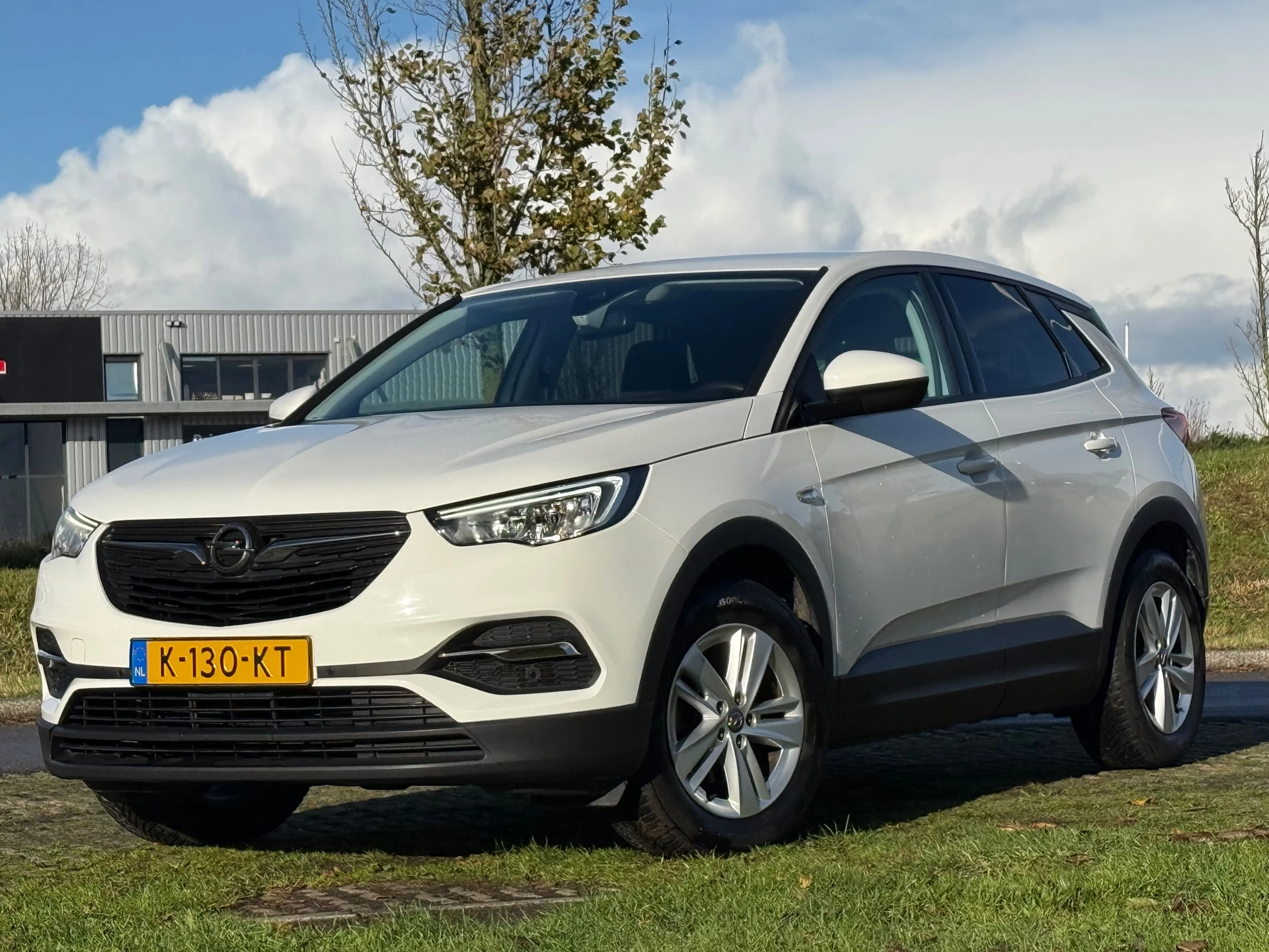 Hoofdafbeelding Opel Grandland X