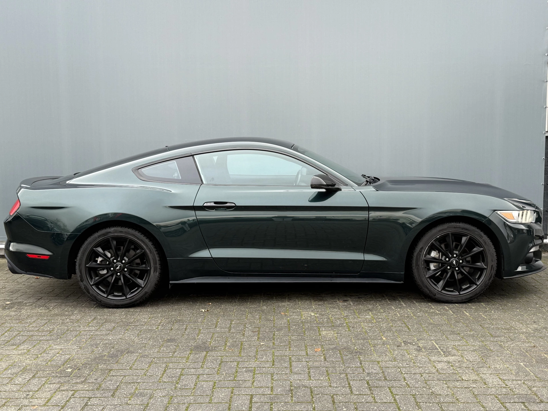 Hoofdafbeelding Ford Mustang
