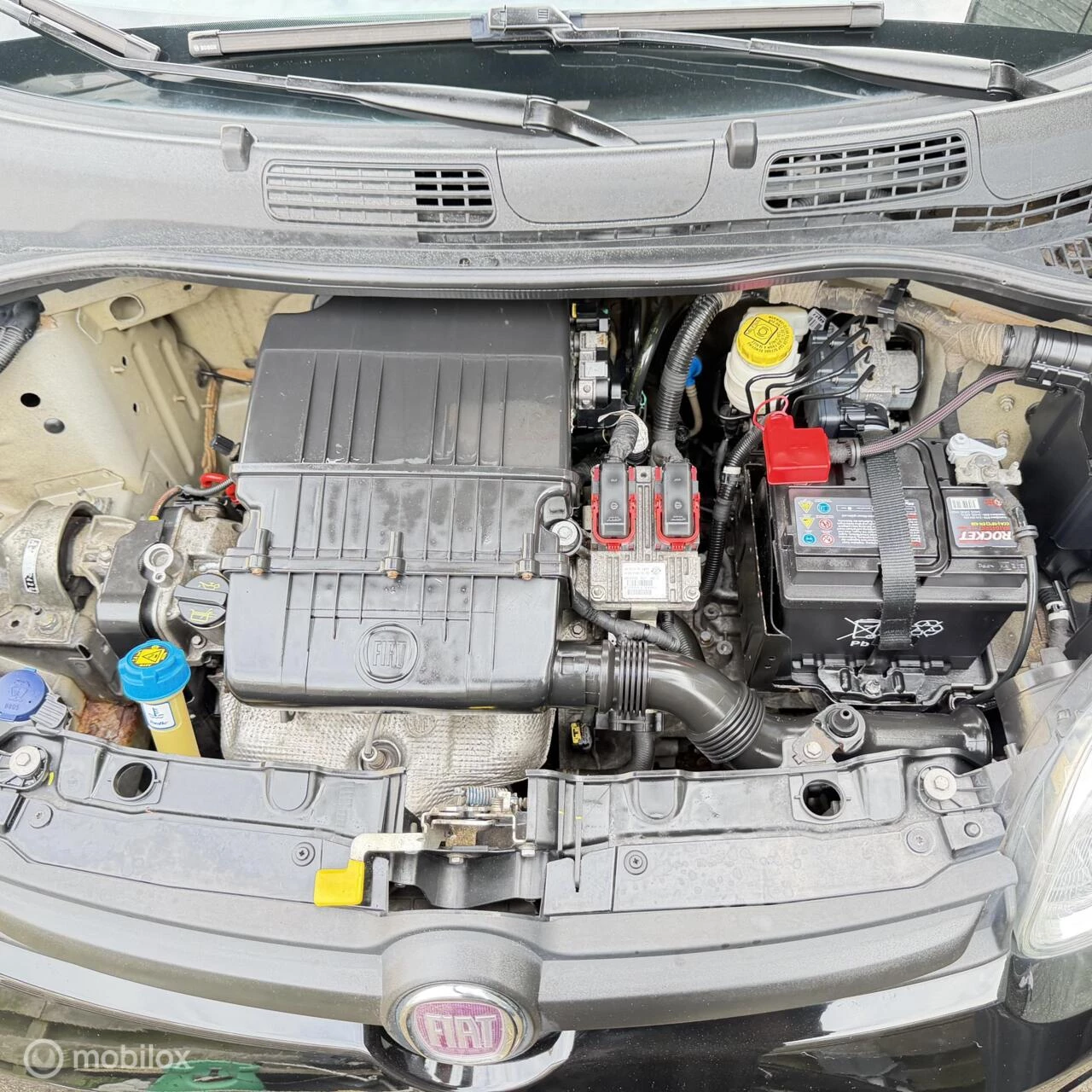Hoofdafbeelding Fiat Panda