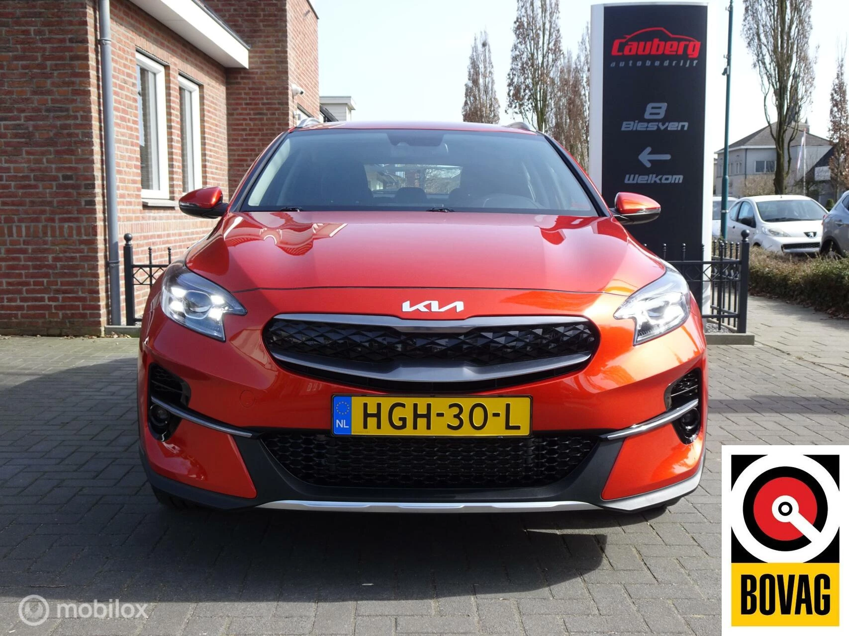 Hoofdafbeelding Kia XCeed