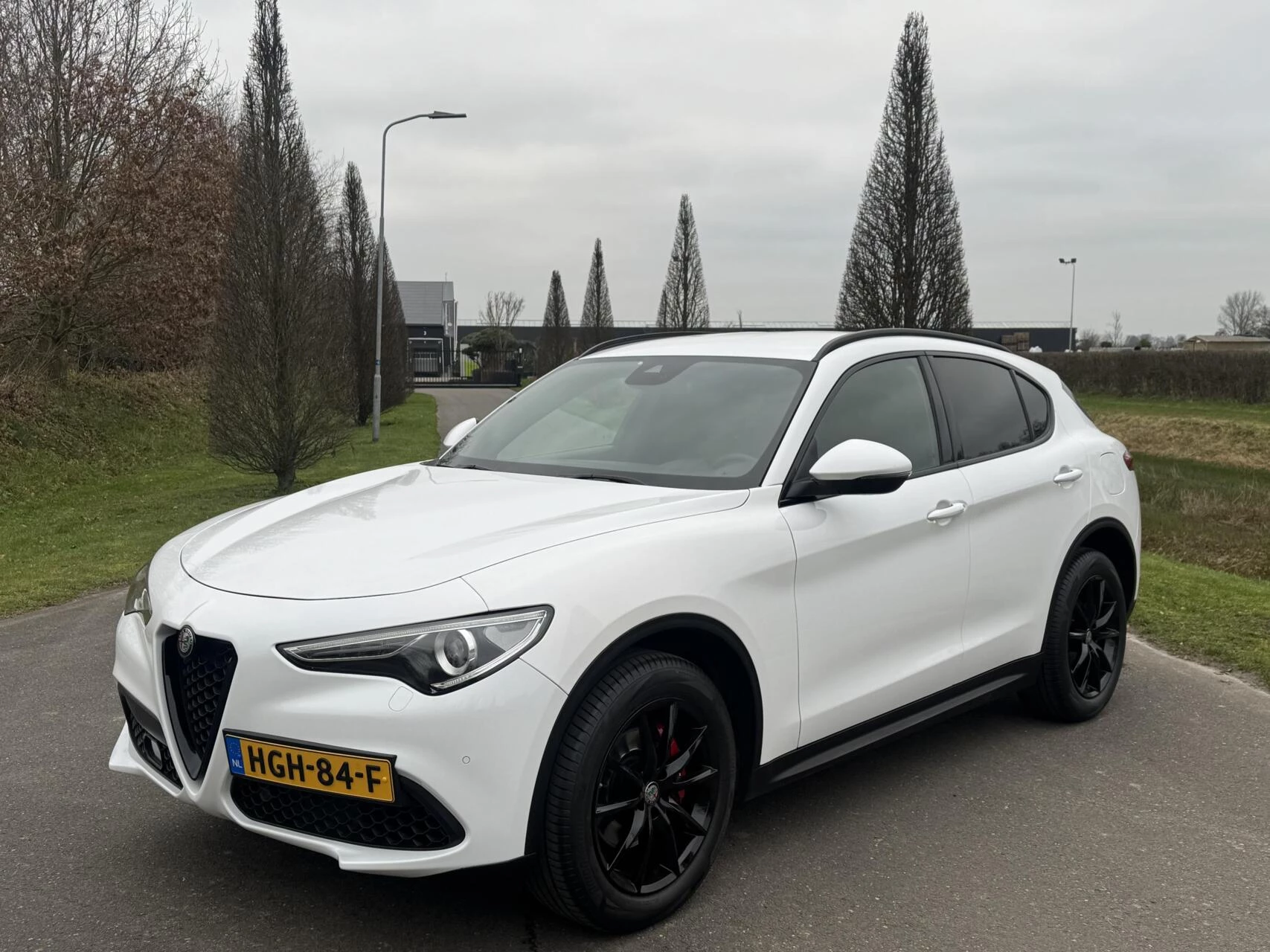 Hoofdafbeelding Alfa Romeo Stelvio