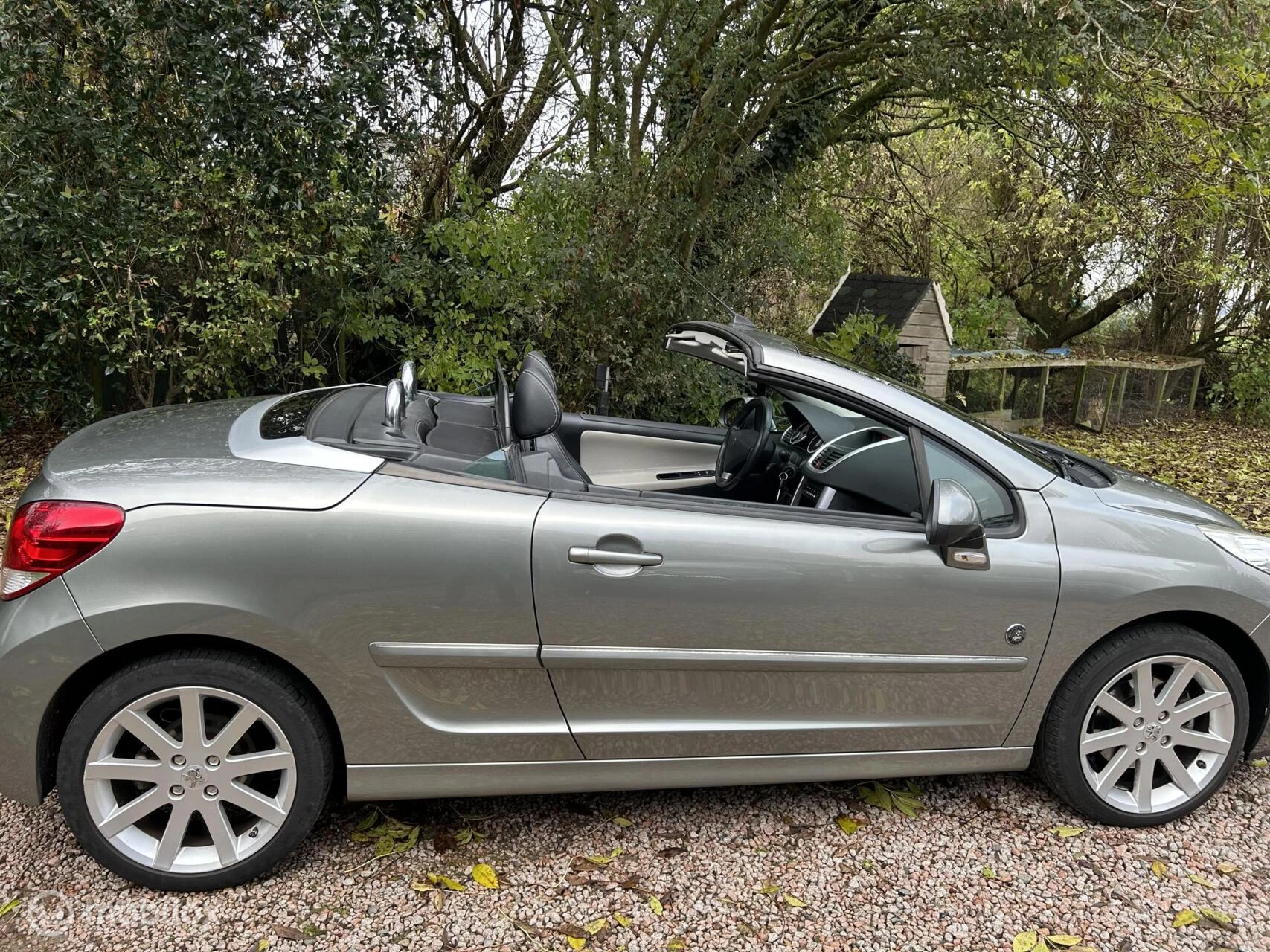 Hoofdafbeelding Peugeot 207