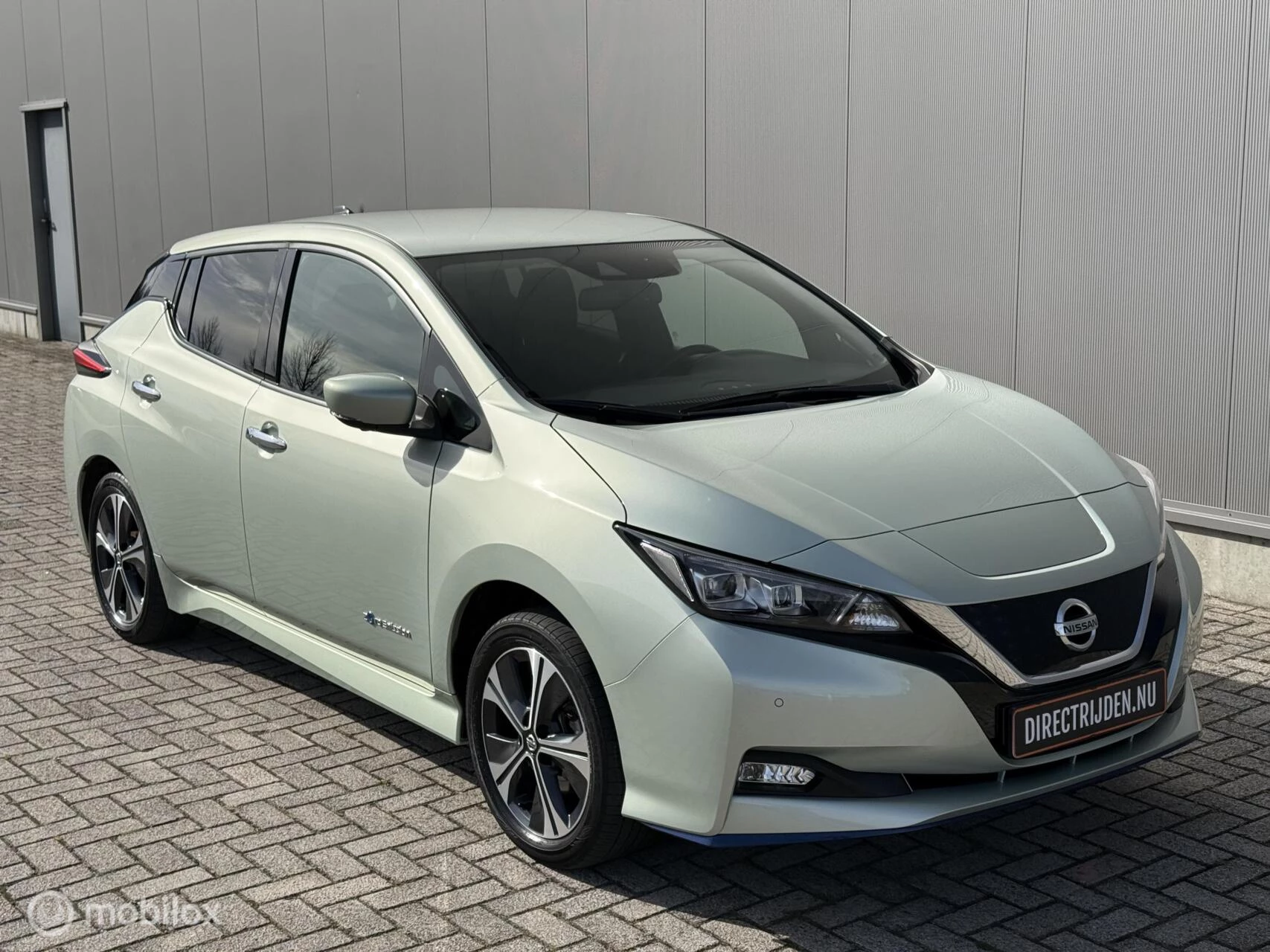 Hoofdafbeelding Nissan Leaf