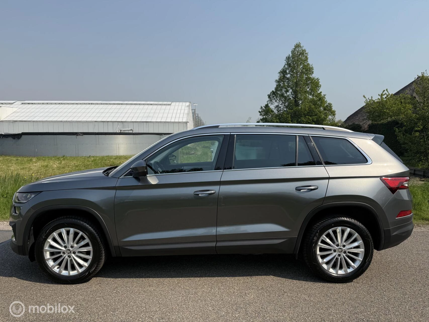 Hoofdafbeelding Škoda Kodiaq