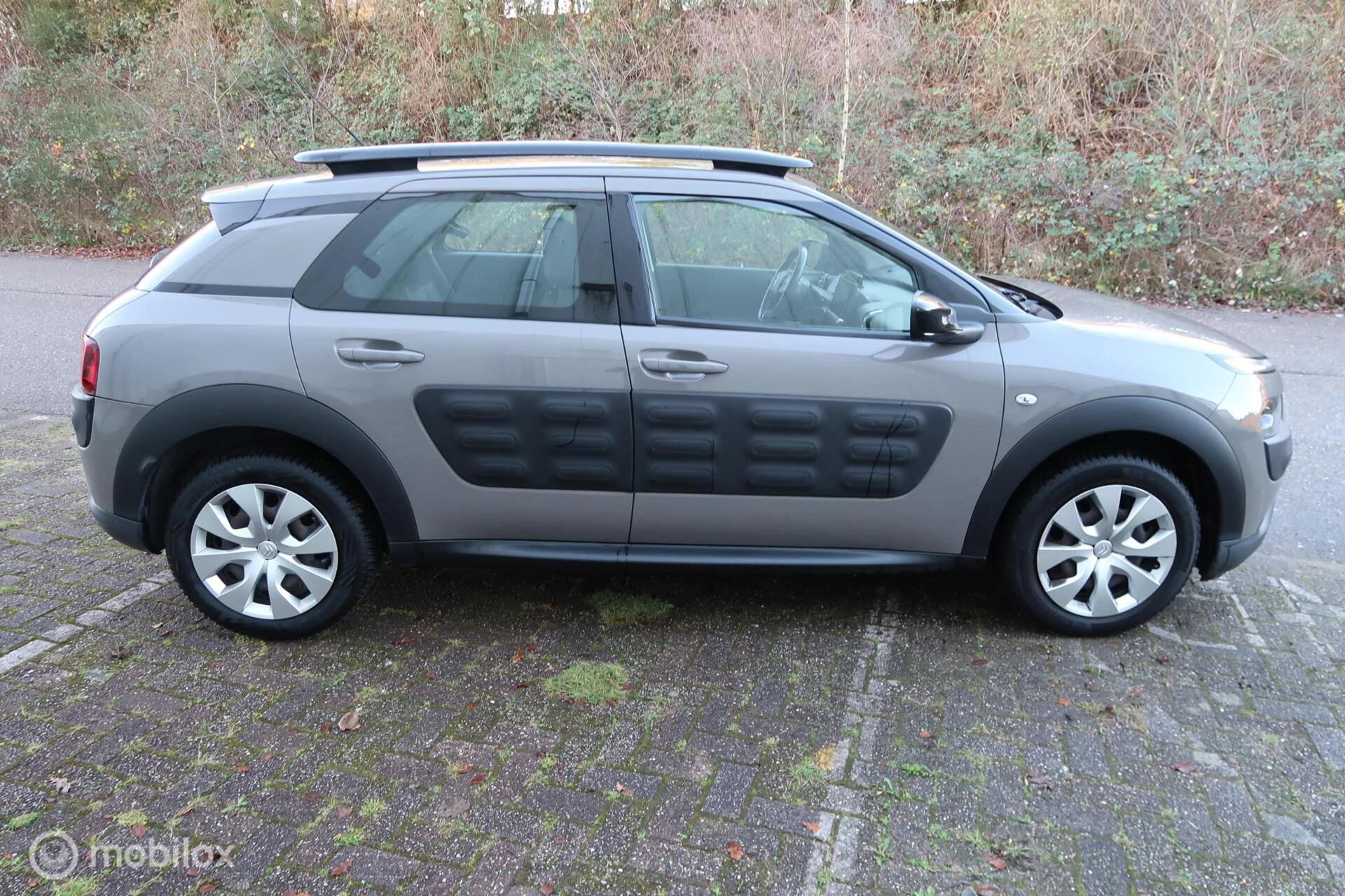 Hoofdafbeelding Citroën C4 Cactus