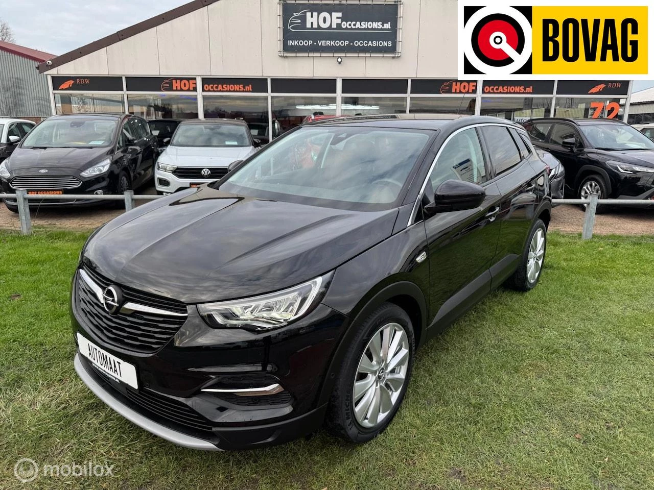 Hoofdafbeelding Opel Grandland X