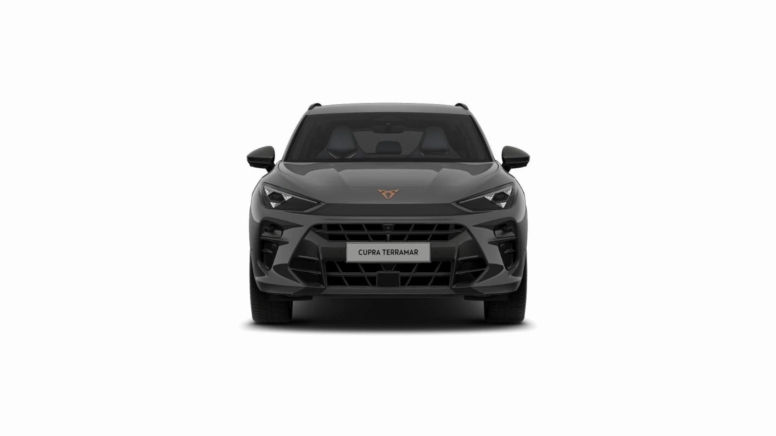 Hoofdafbeelding CUPRA Terramar