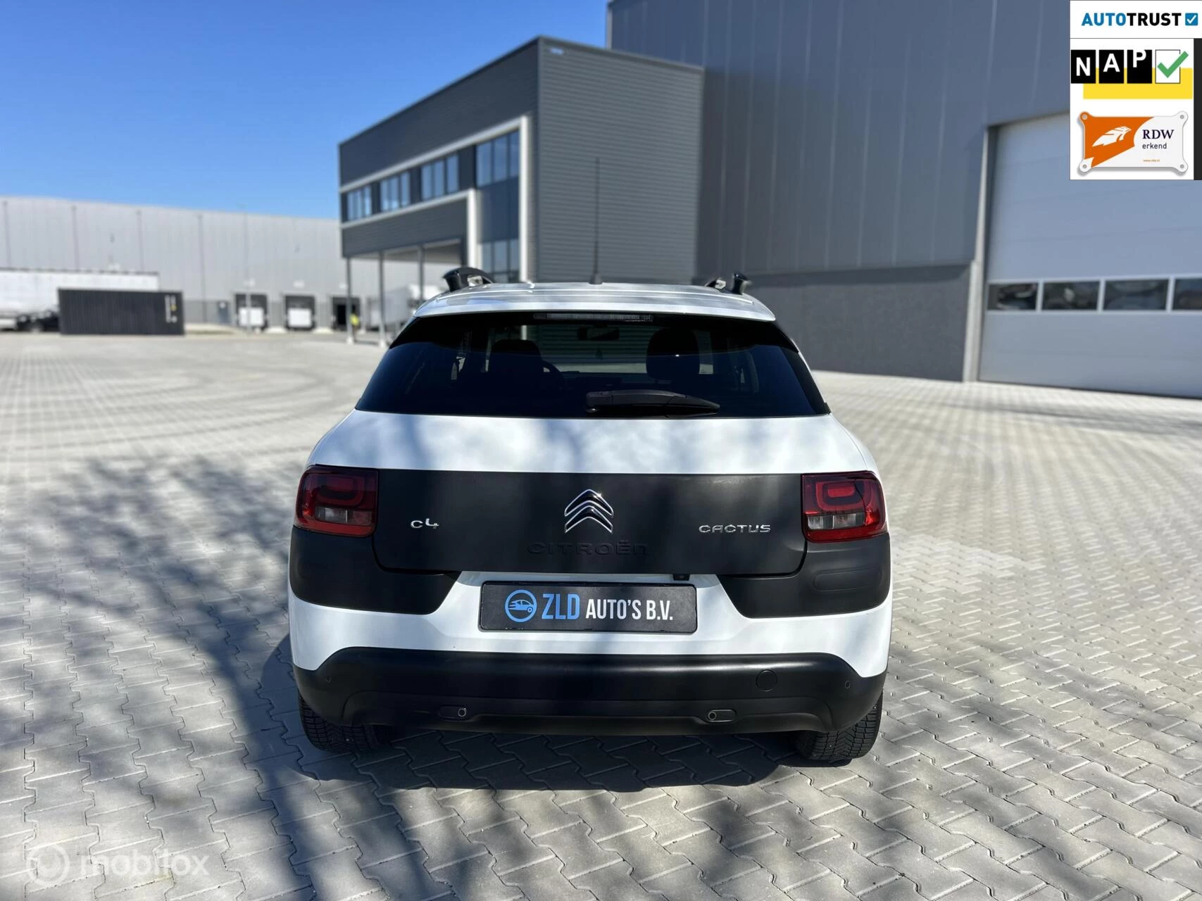 Hoofdafbeelding Citroën C4 Cactus