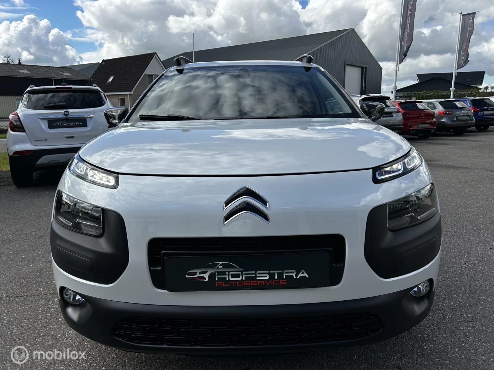 Hoofdafbeelding Citroën C4 Cactus