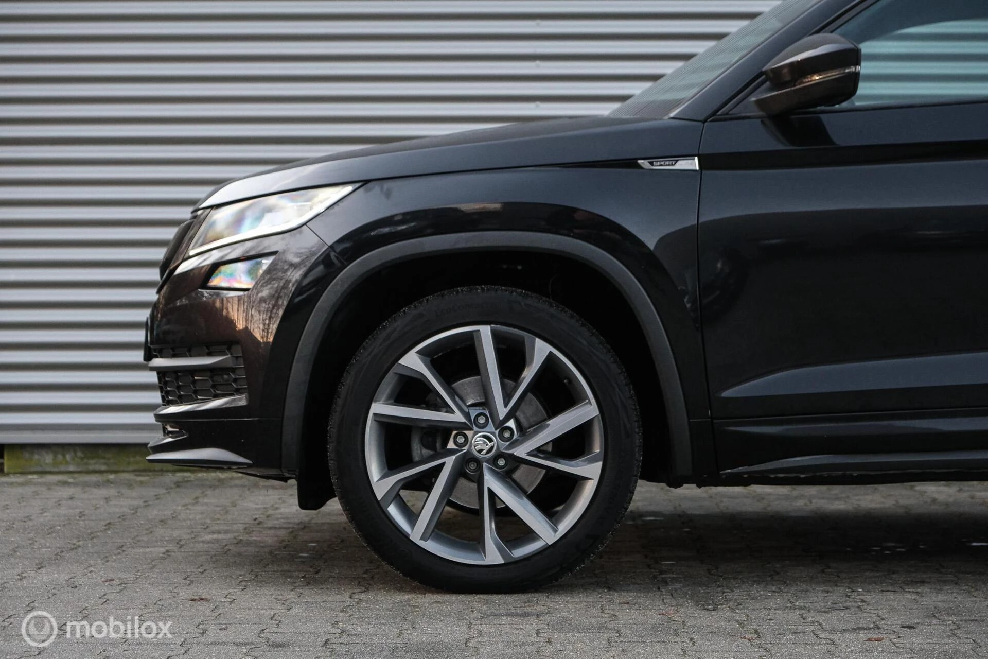 Hoofdafbeelding Škoda Kodiaq