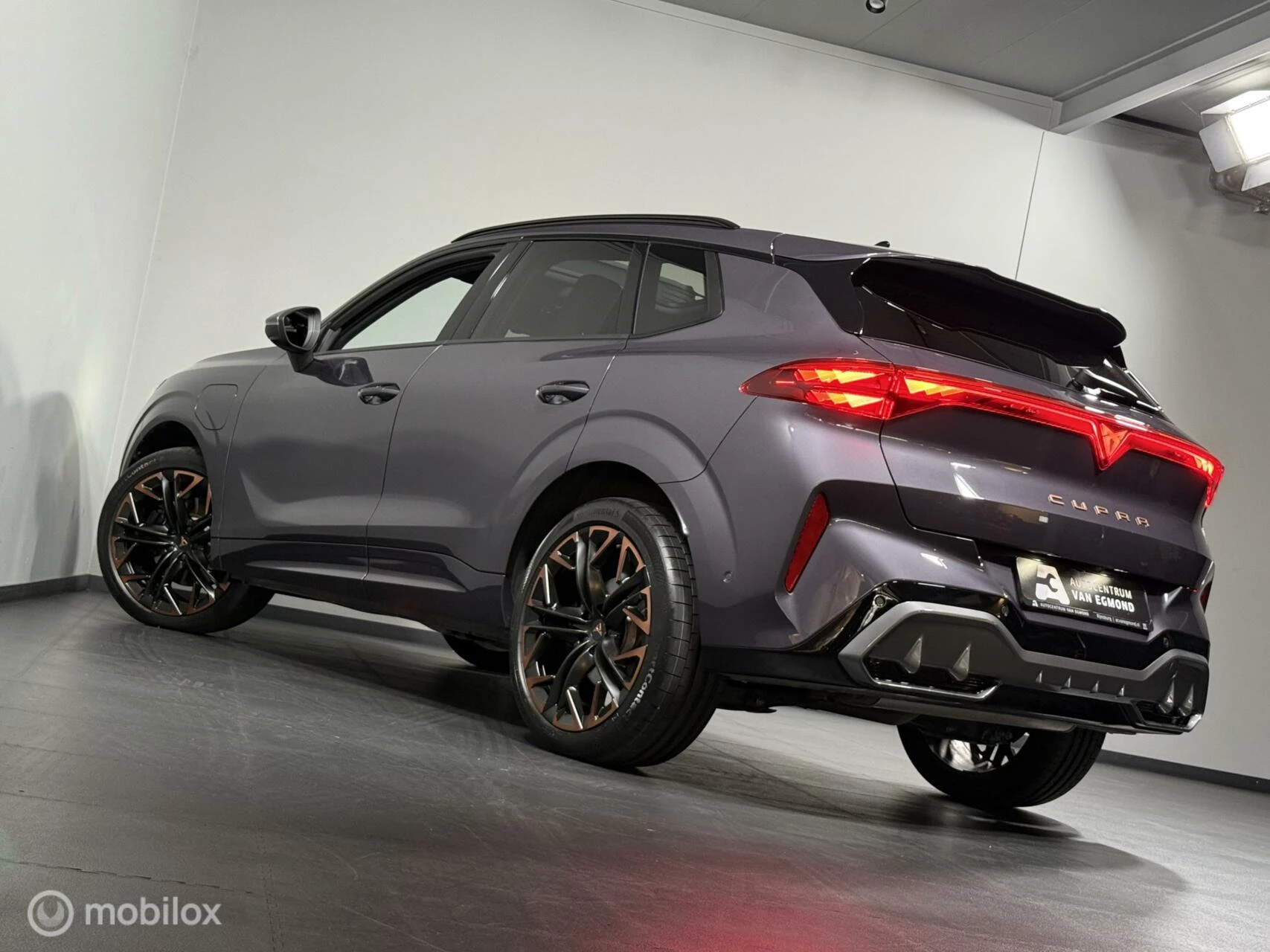 Hoofdafbeelding CUPRA Terramar