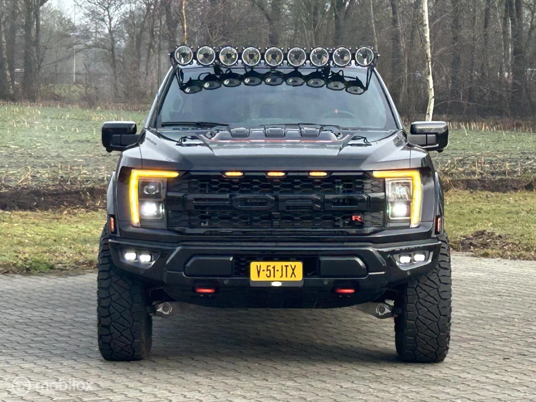 Hoofdafbeelding Ford F-150