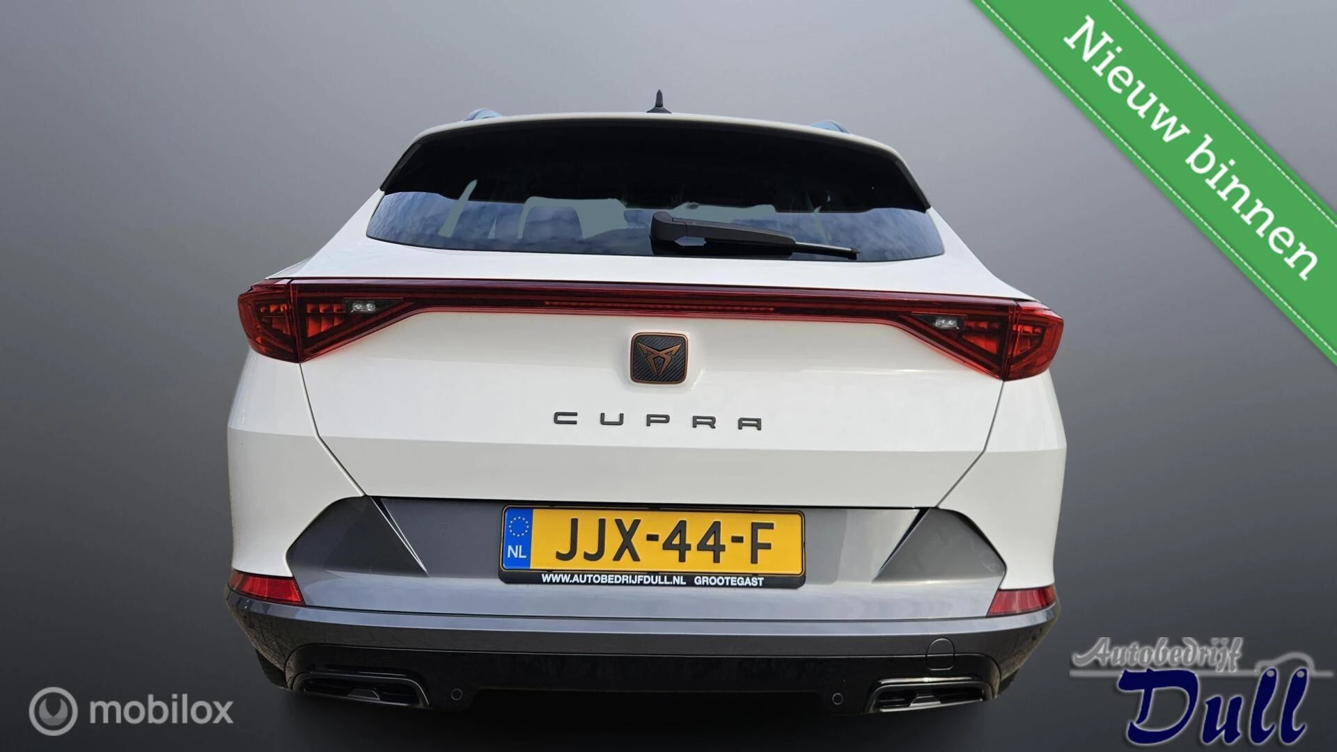 Hoofdafbeelding CUPRA Formentor