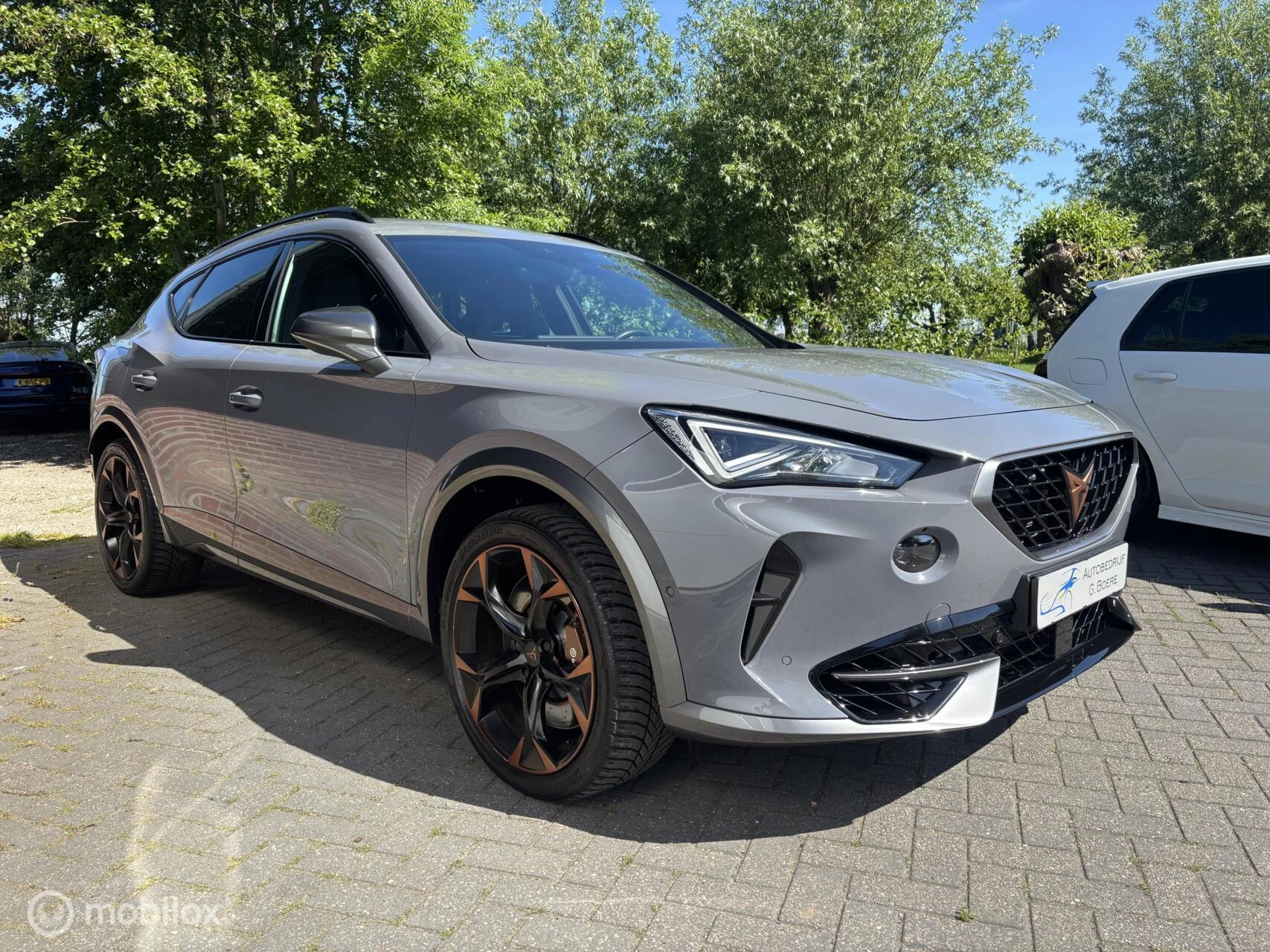 Hoofdafbeelding CUPRA Formentor