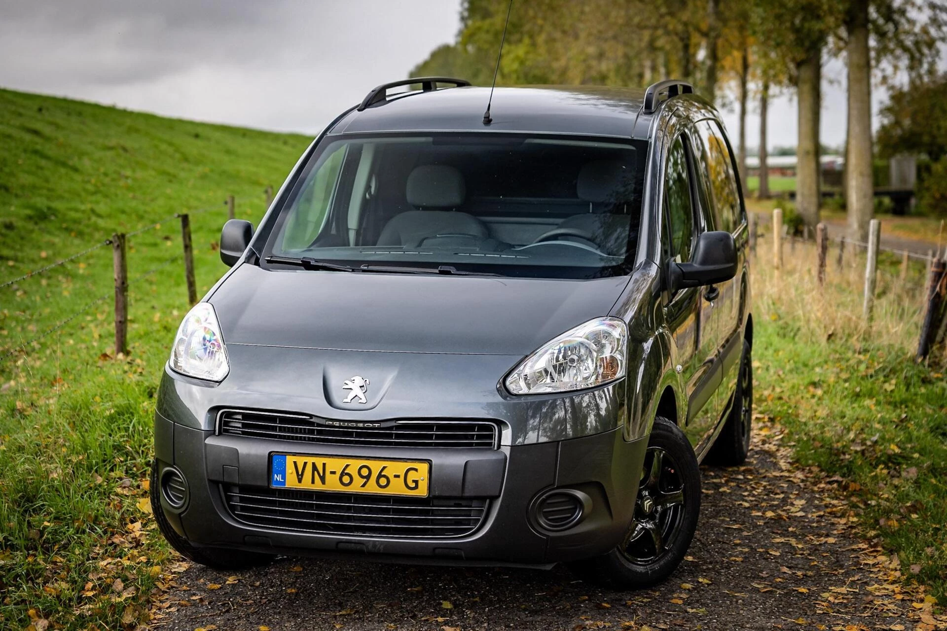 Hoofdafbeelding Peugeot Partner