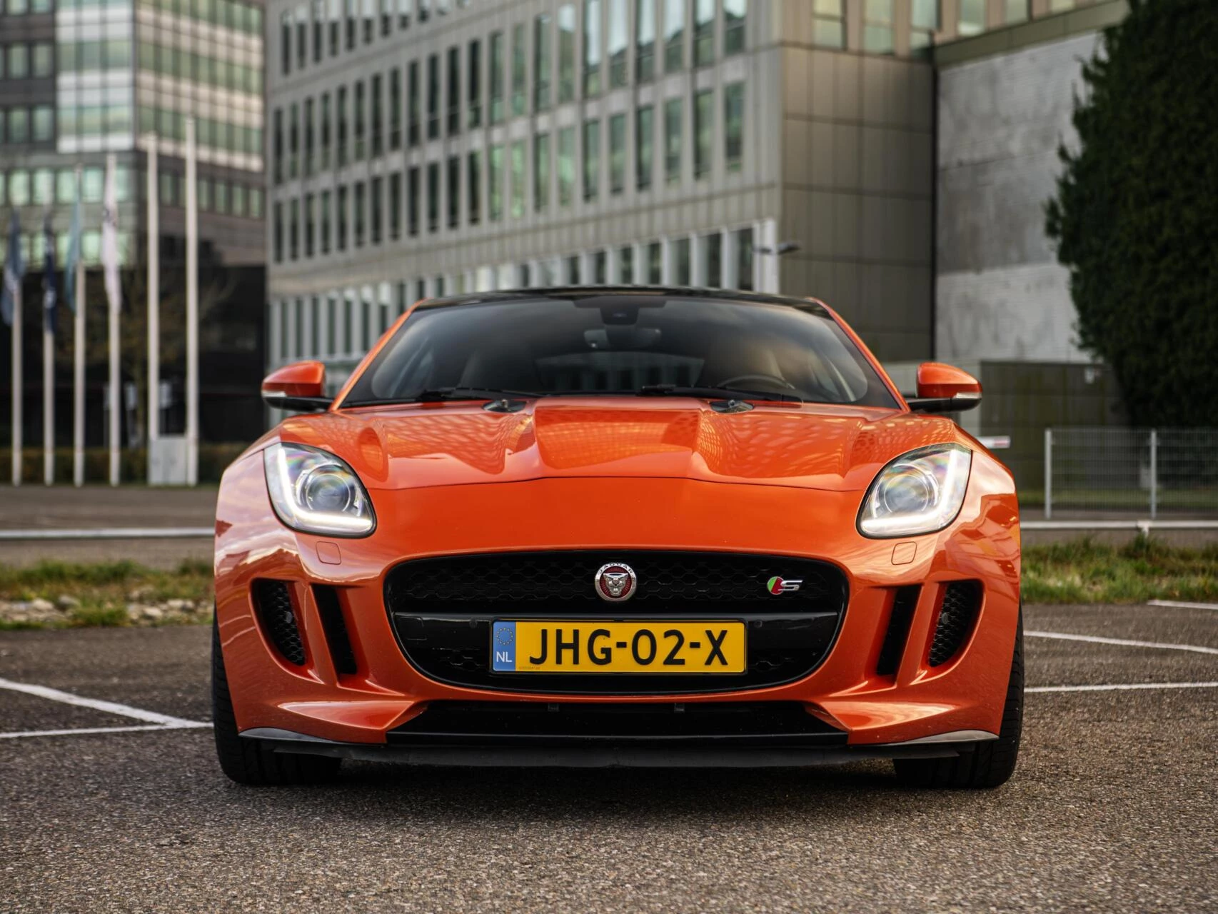 Hoofdafbeelding Jaguar F-Type