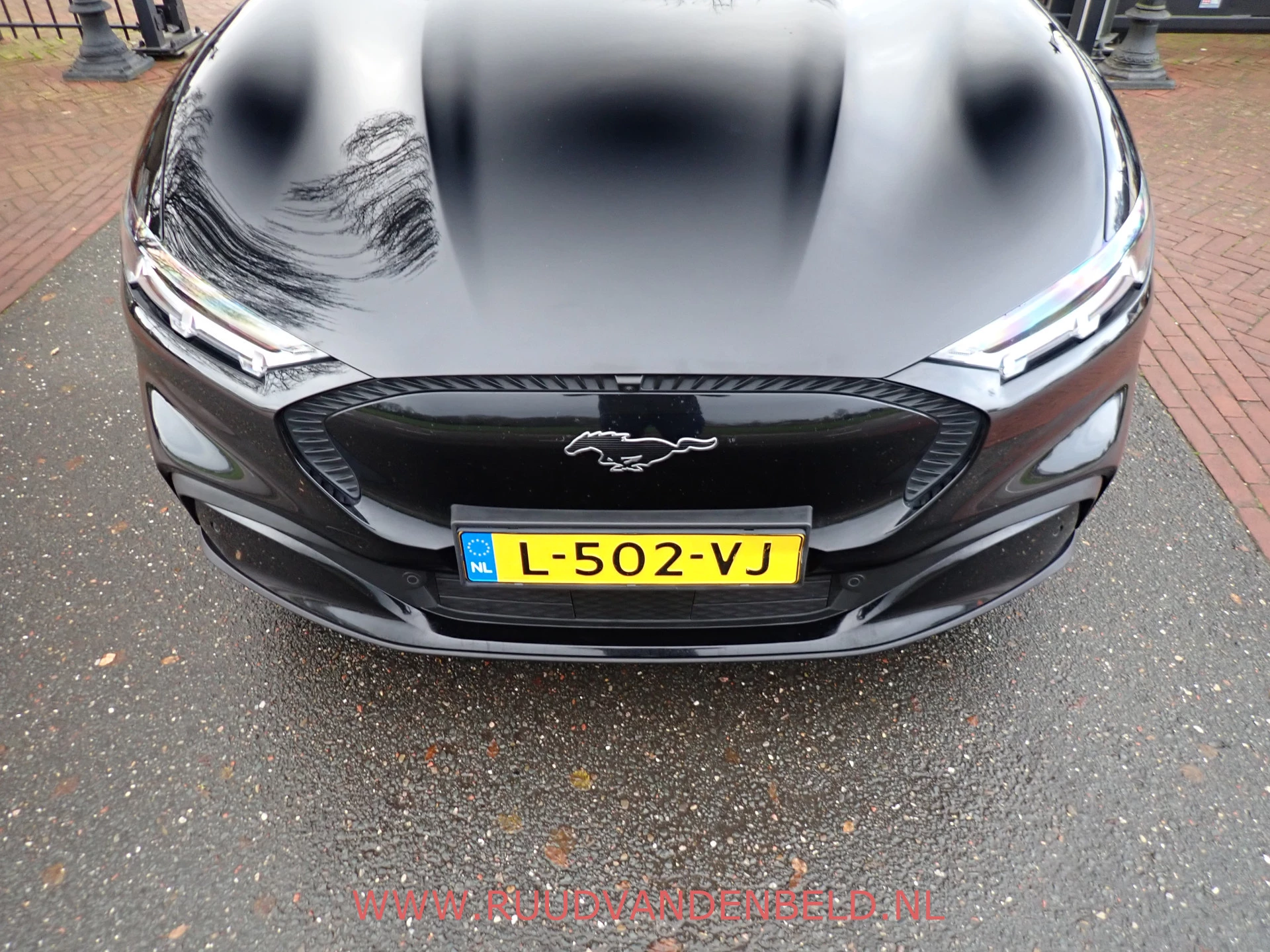 Hoofdafbeelding Ford Mustang Mach-E