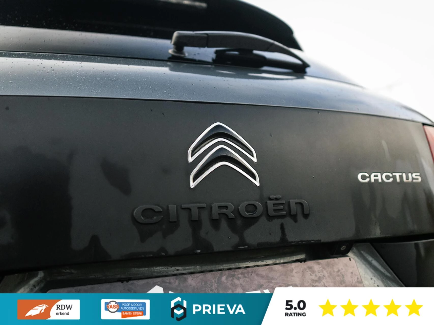 Hoofdafbeelding Citroën C4 Cactus