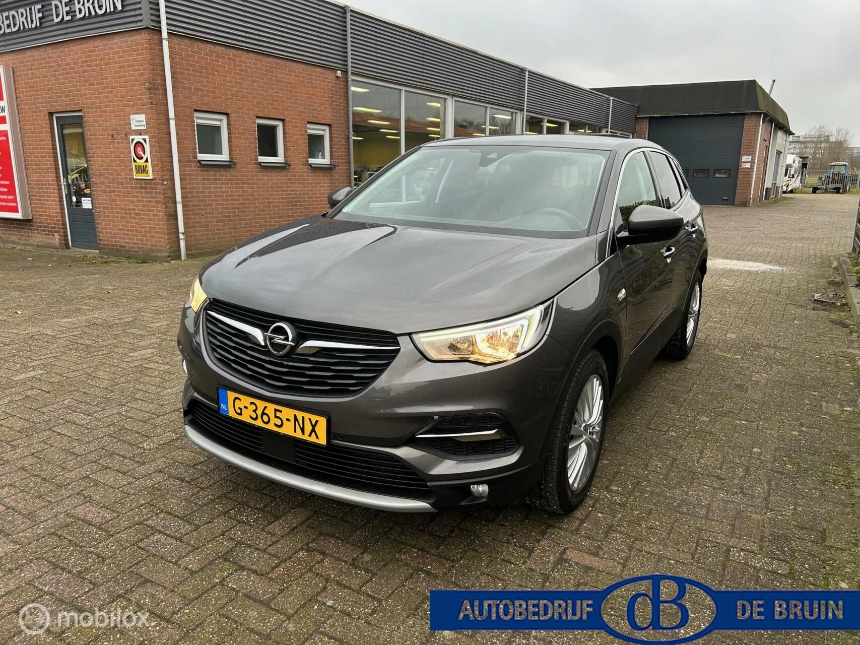 Hoofdafbeelding Opel Grandland X