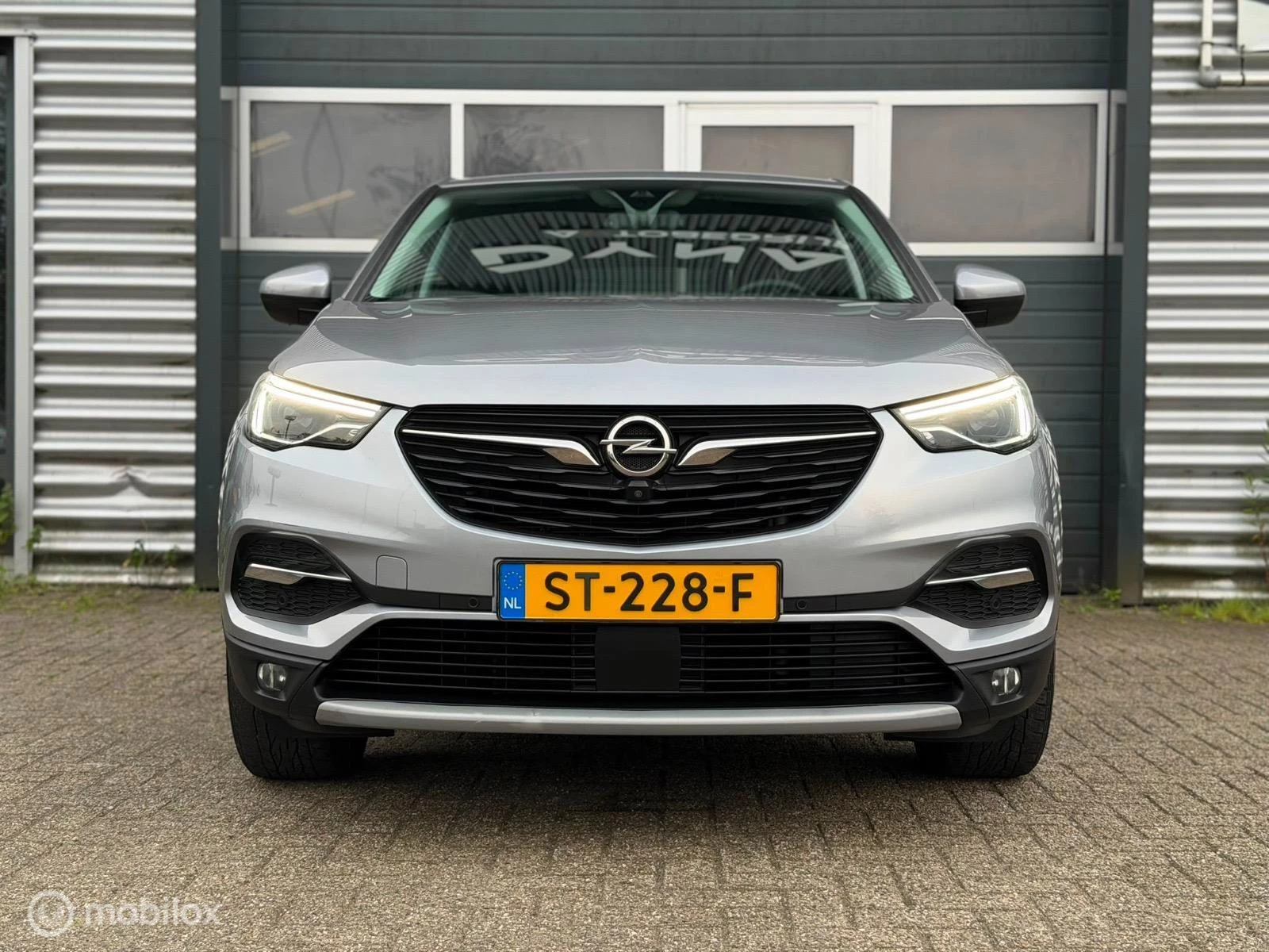 Hoofdafbeelding Opel Grandland X