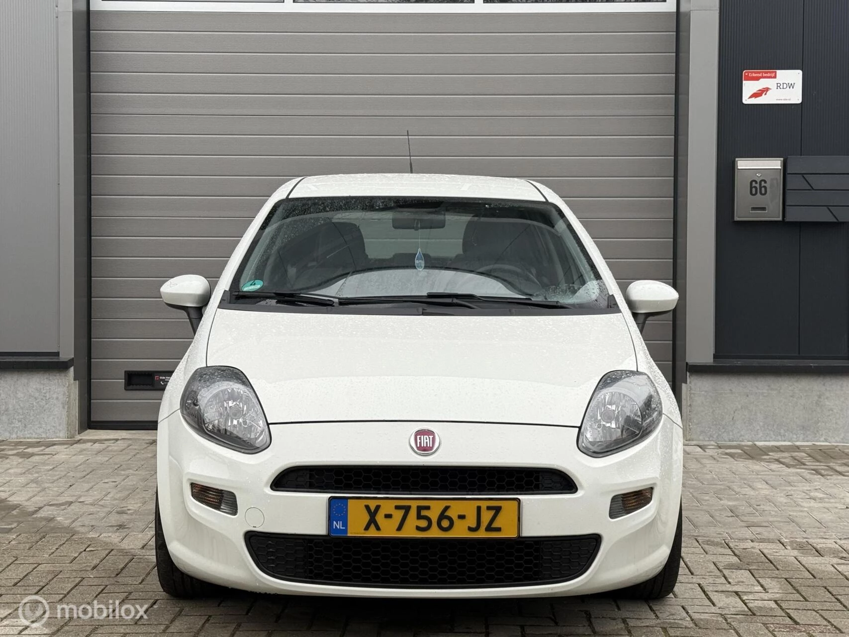 Hoofdafbeelding Fiat Punto