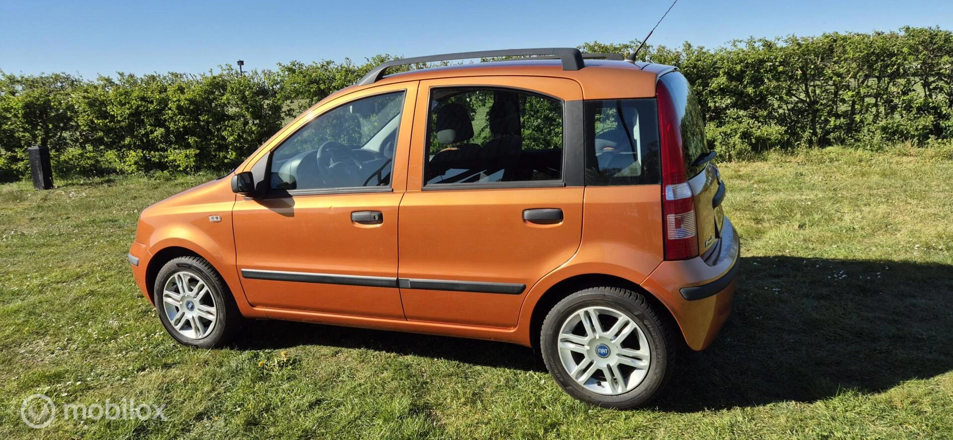 Hoofdafbeelding Fiat Panda
